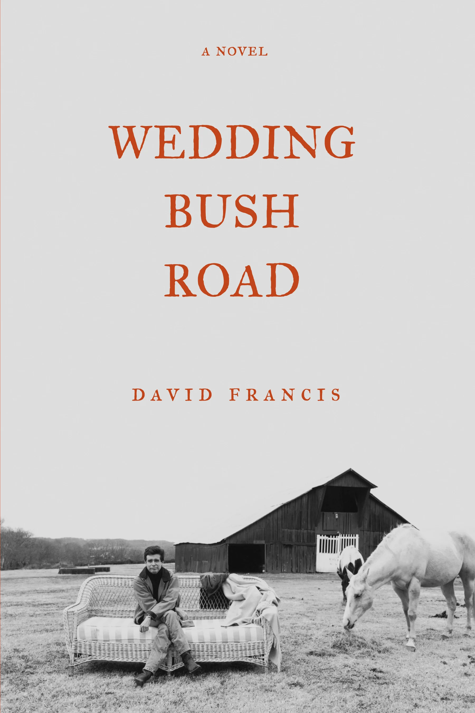 david francis - wedding bush road.jpg