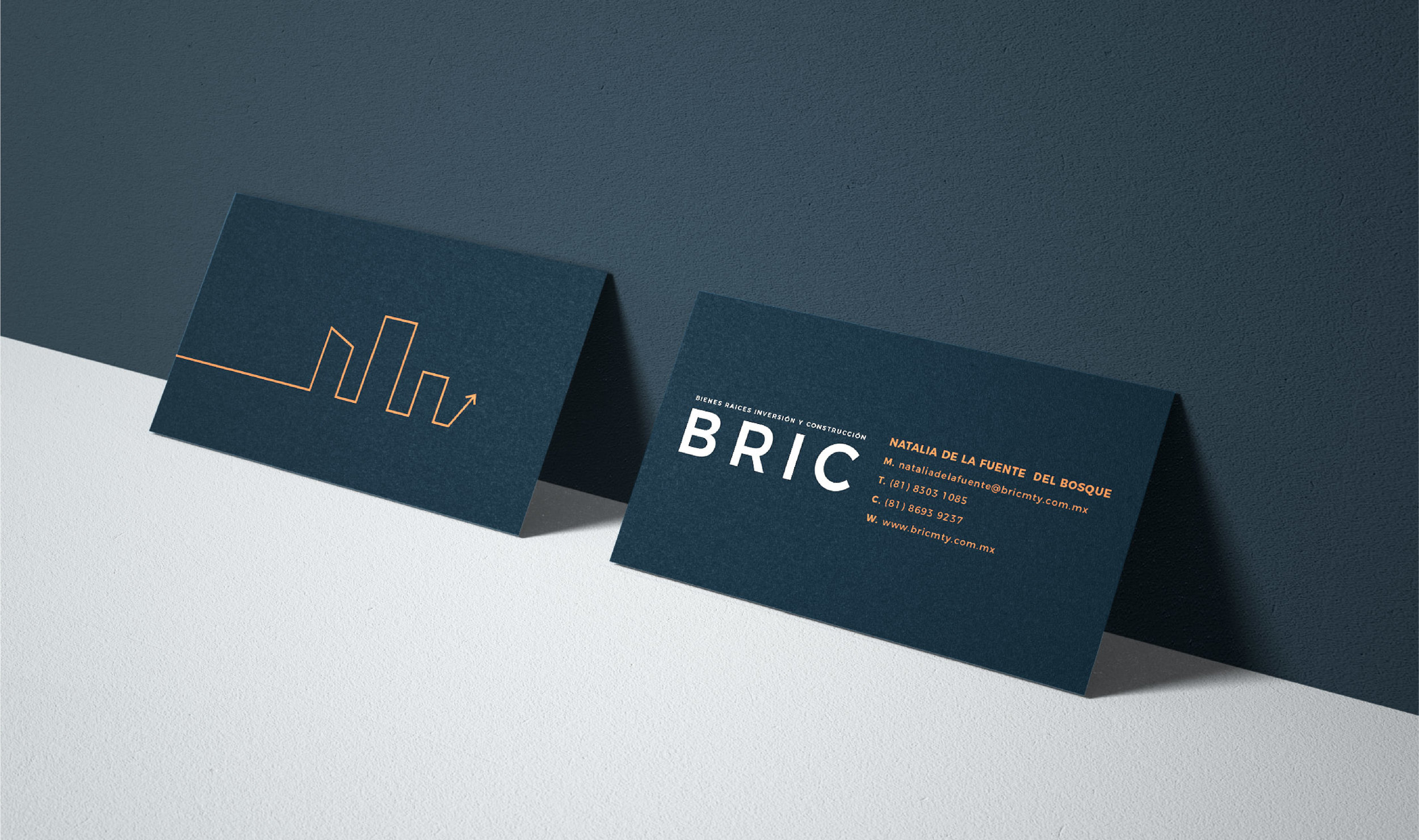 BRIC-web-04.jpg