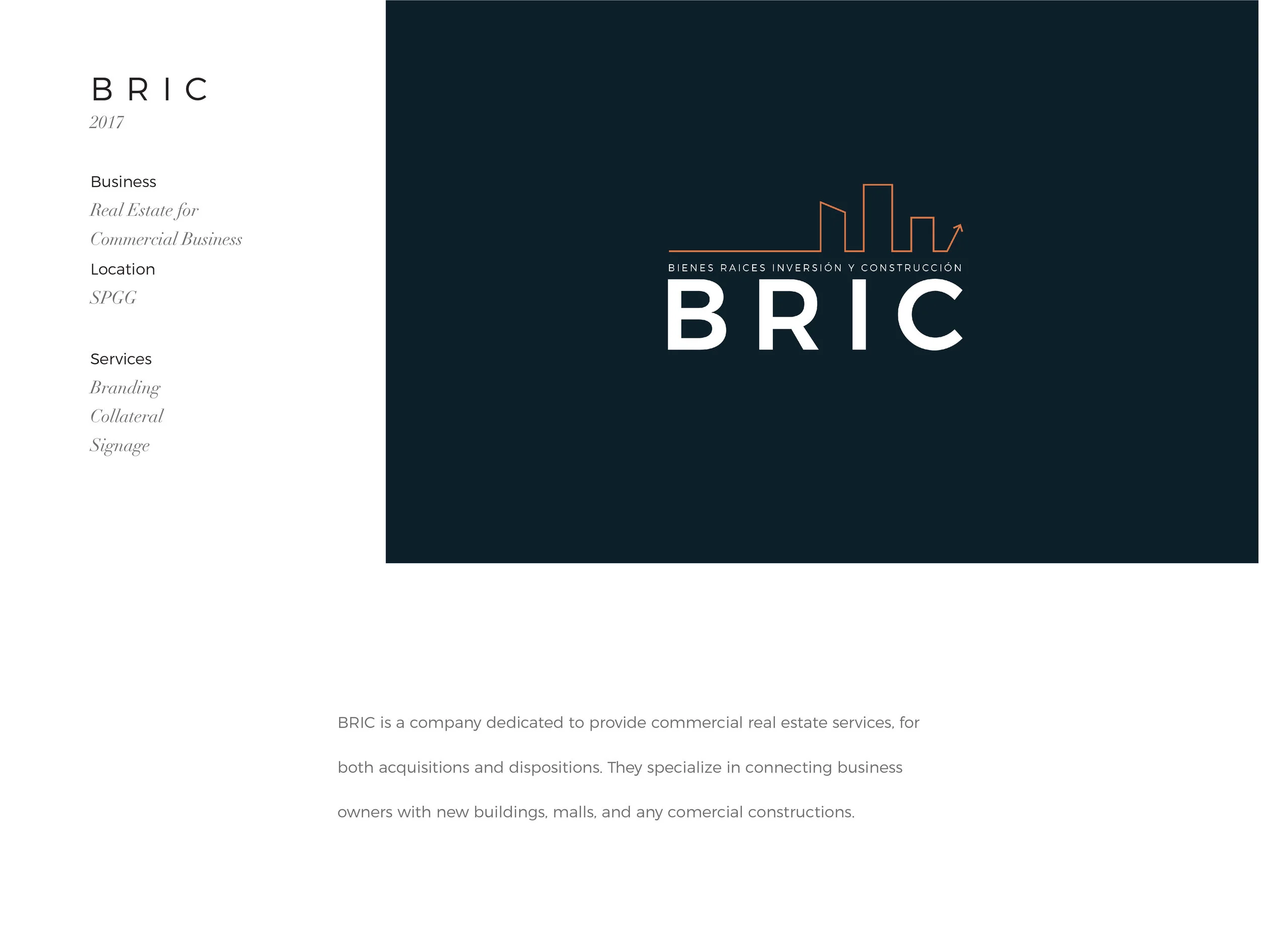 BRIC-web-05.jpg