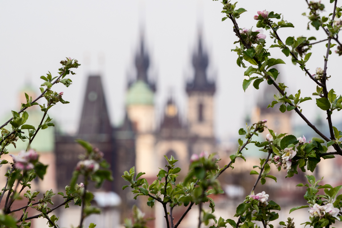 Praha_04.jpg