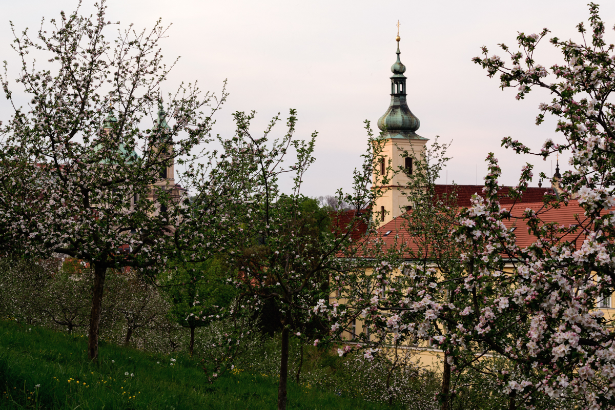 Praha_05.jpg