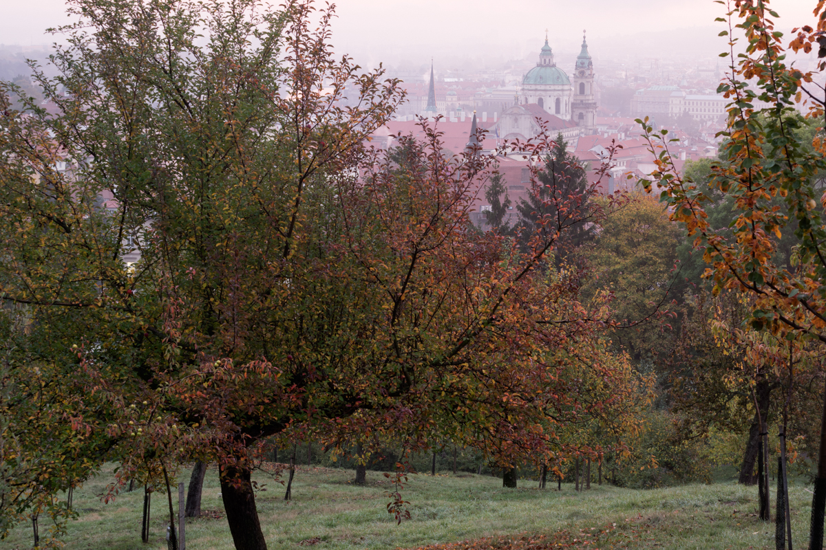 Praha_06.jpg