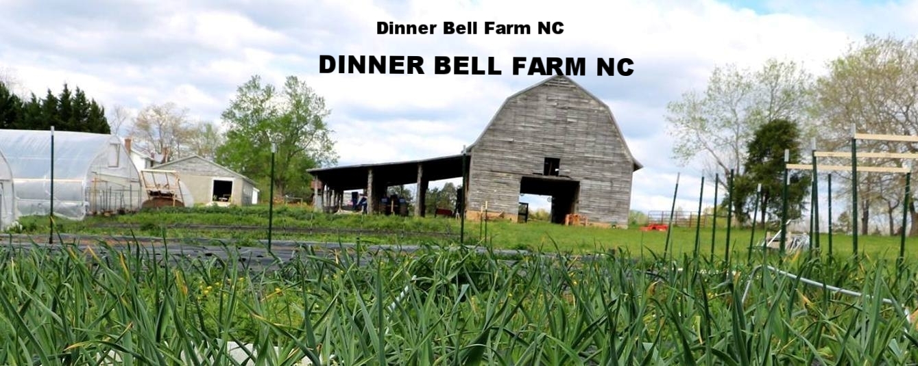 Dinner Bell Farm NC