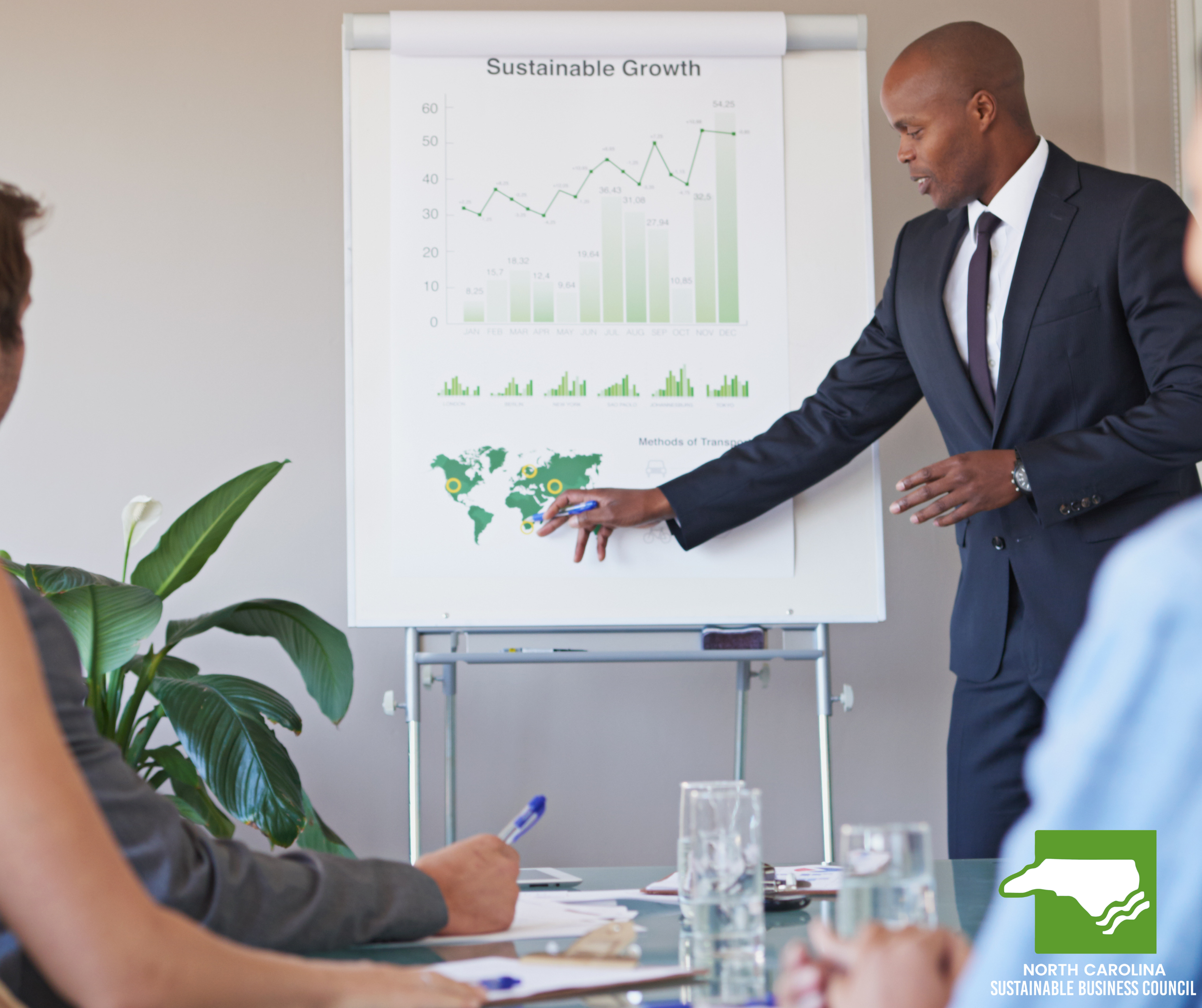 sustainable growth graphic .png