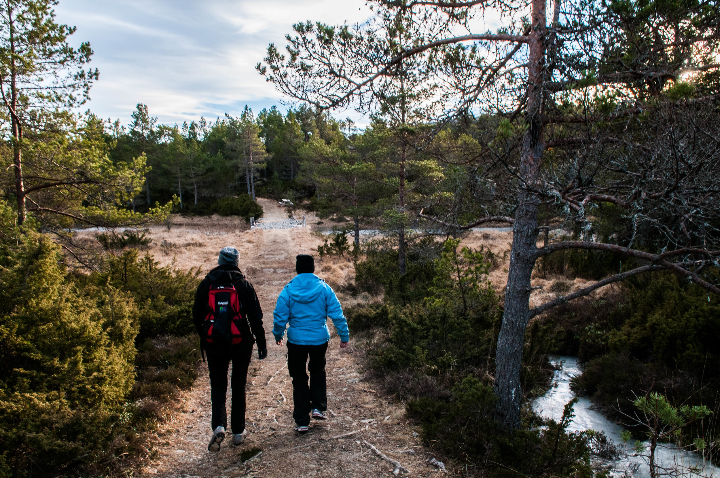 Mindeveien mot turhytta