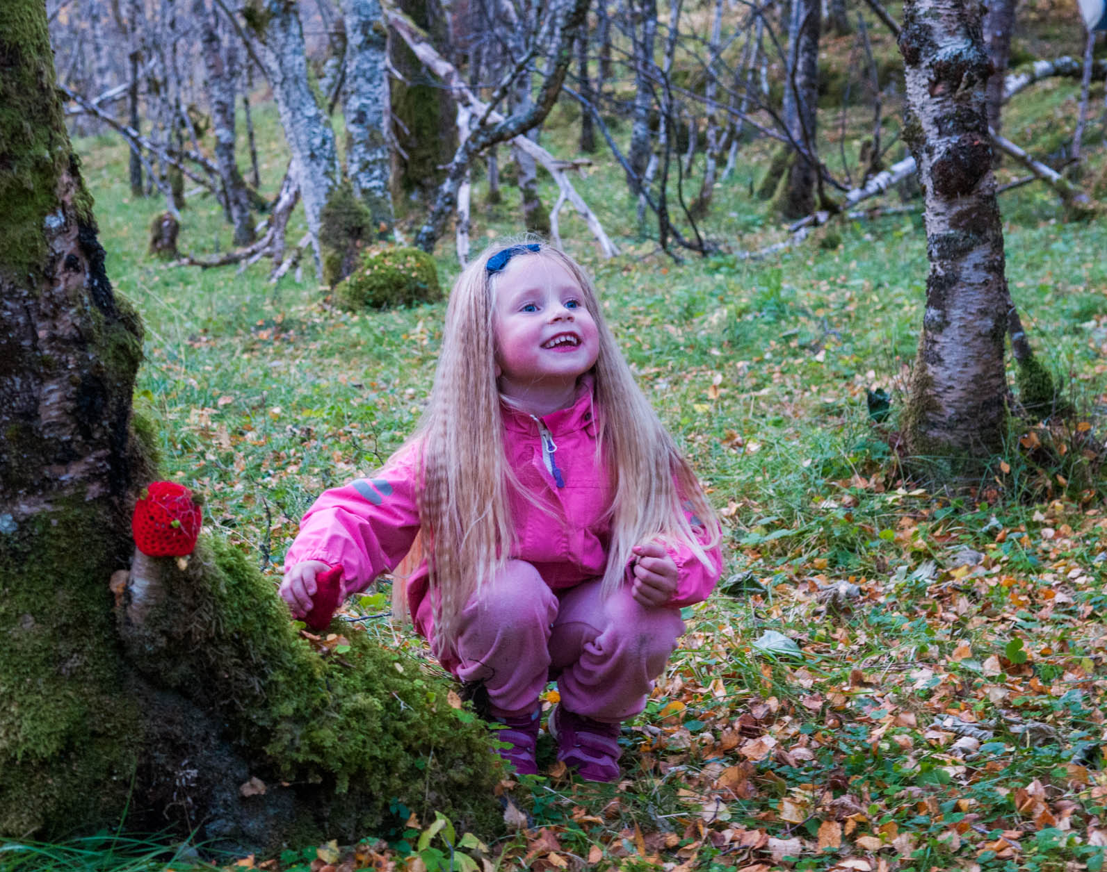 Fin og spennende skog for barn og voksne. 