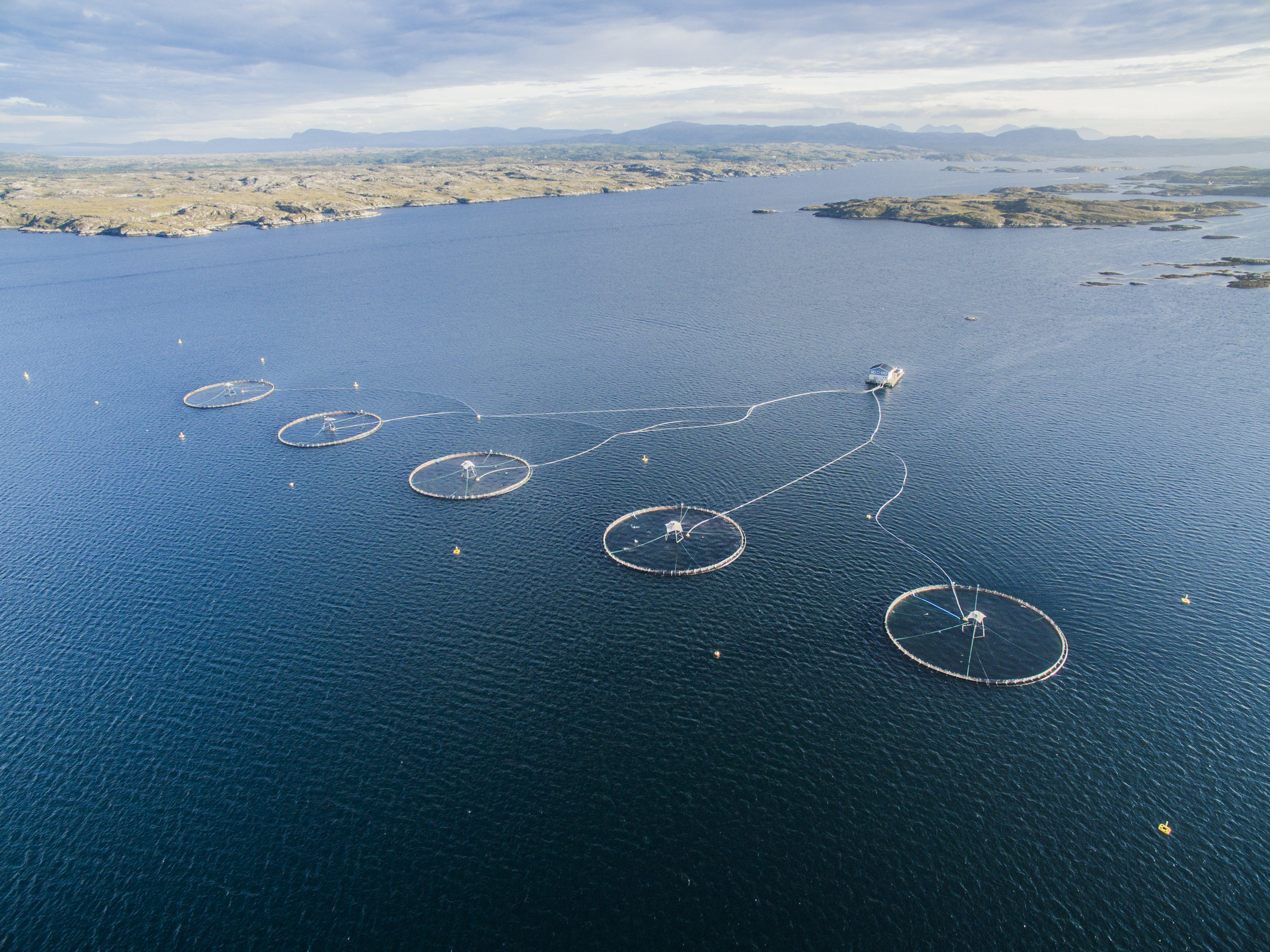 Marine Harvest sin lokalitet Korsholman, ved Torsøya vest i Dolmsundet. 