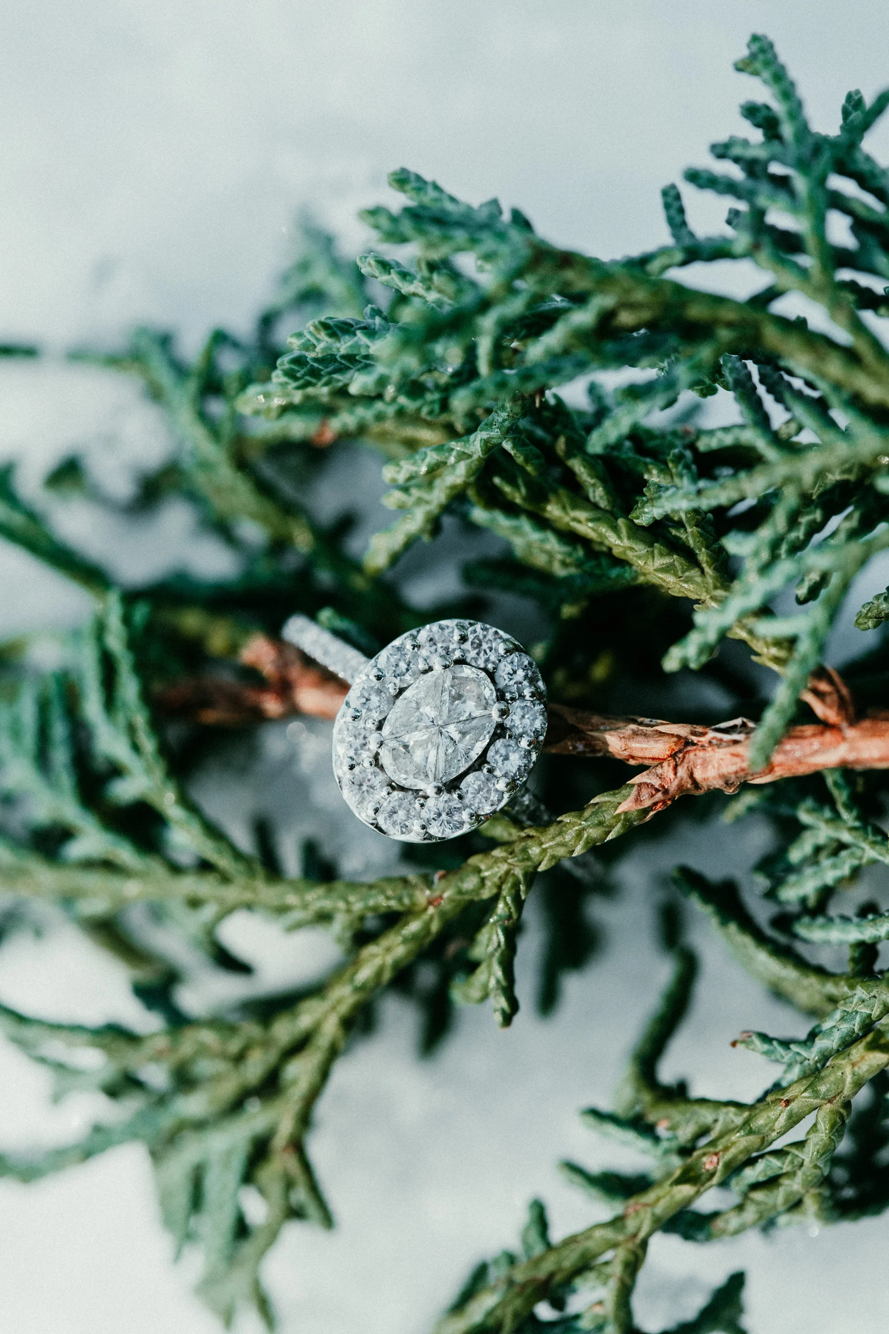 engagement-ring-photo.jpg