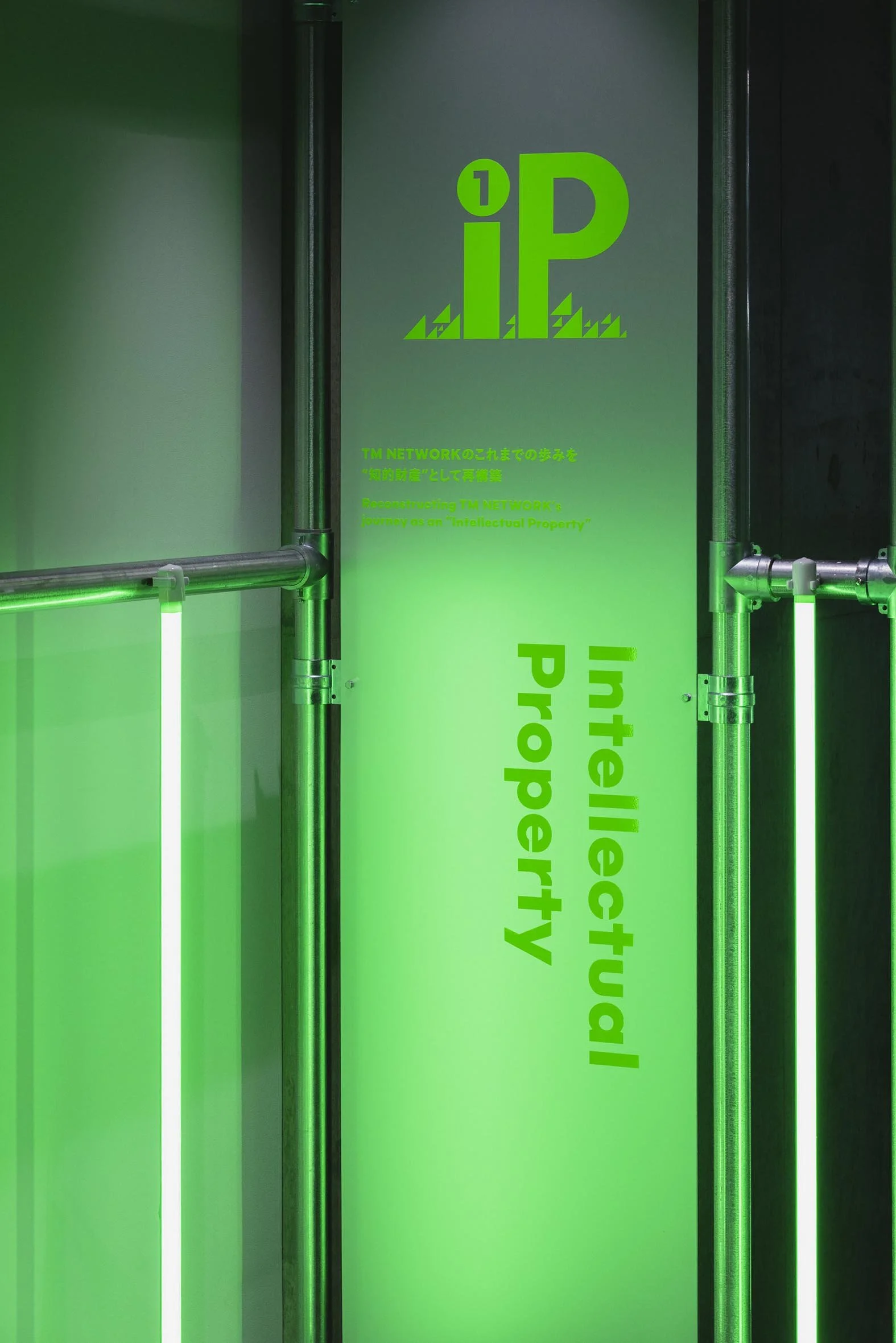 P1.jpg