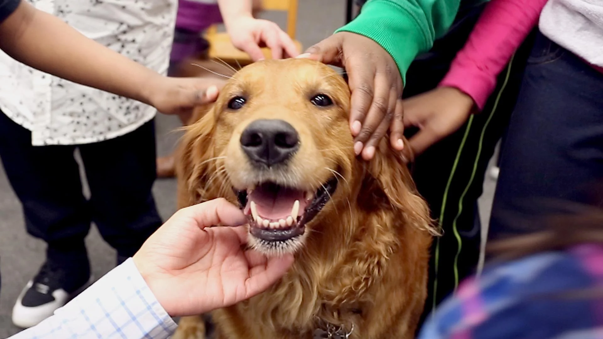 x_tdy_ov_pets_hugging_dog_170228_tease-01.jpg