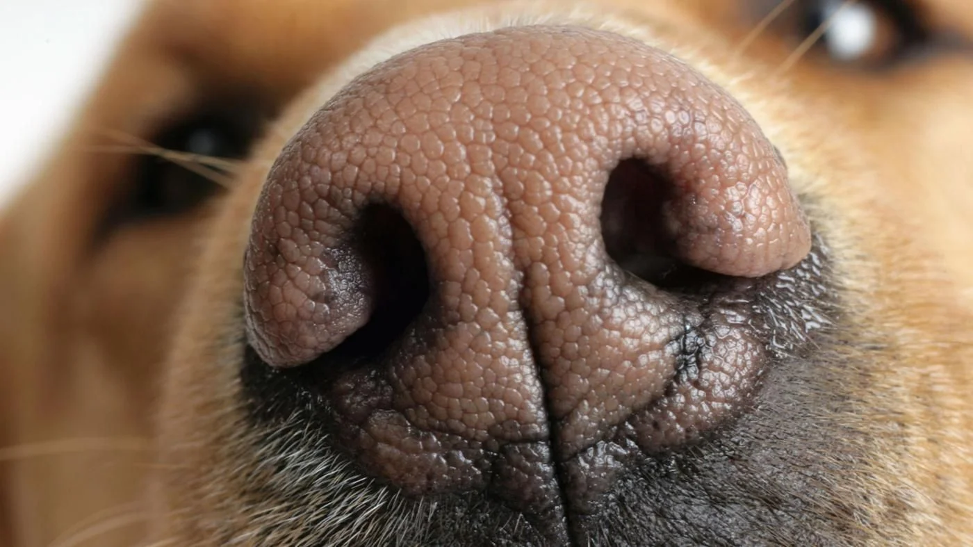 tooclose.jpg