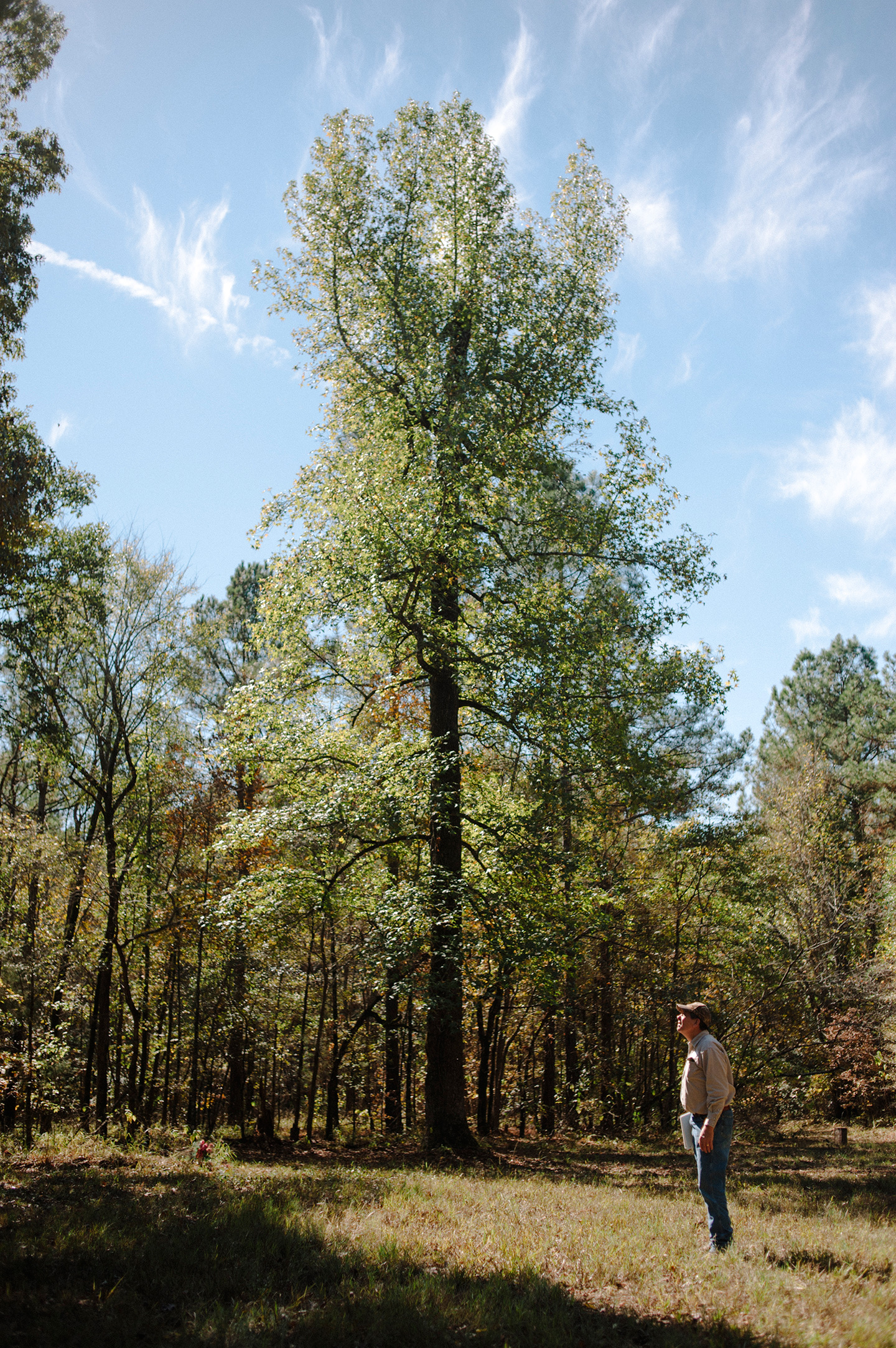 thibodeaux_brandon_world_wildlife_fund_texarkana_arkansas_texas_wood_timber_fsc_certification_pulp_paper_mill_industry_forest_sustainable_natural_resources_commodities_us_0004.JPG