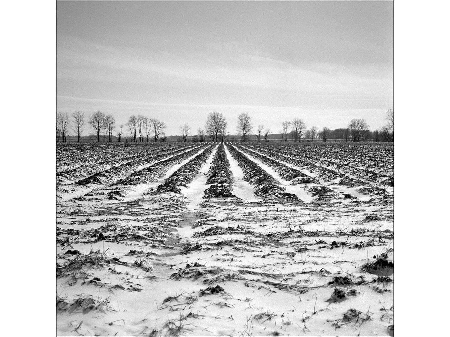 Untitled-1.jpg