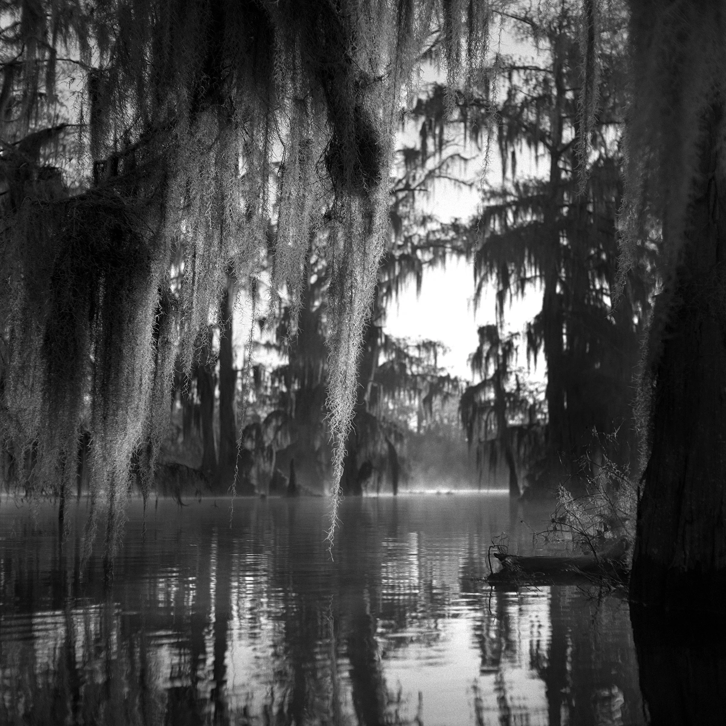 thibodeaux_print_sale_0001.JPG