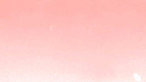 Design 02