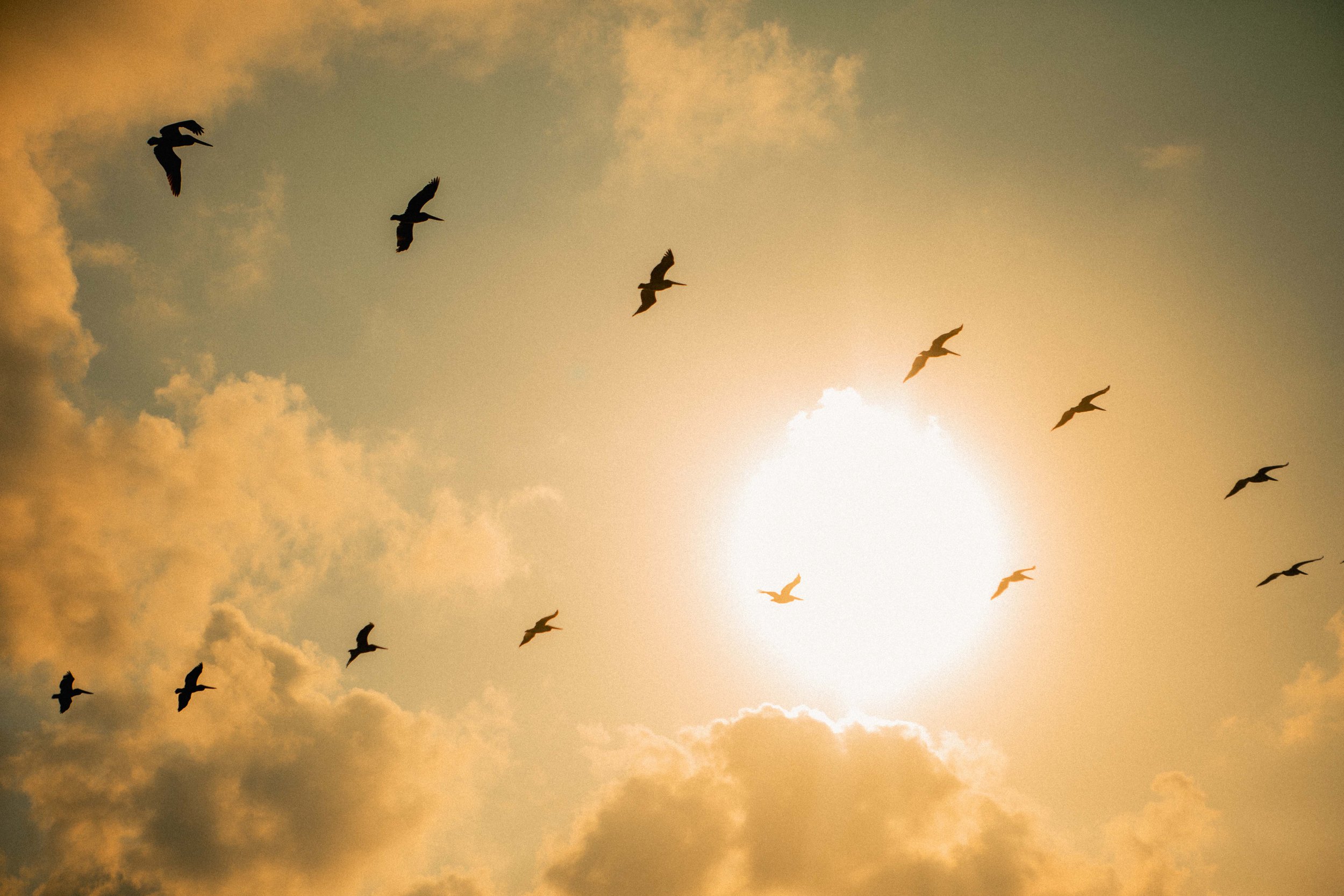 Jimi Herrtage - People & Places 010.jpg