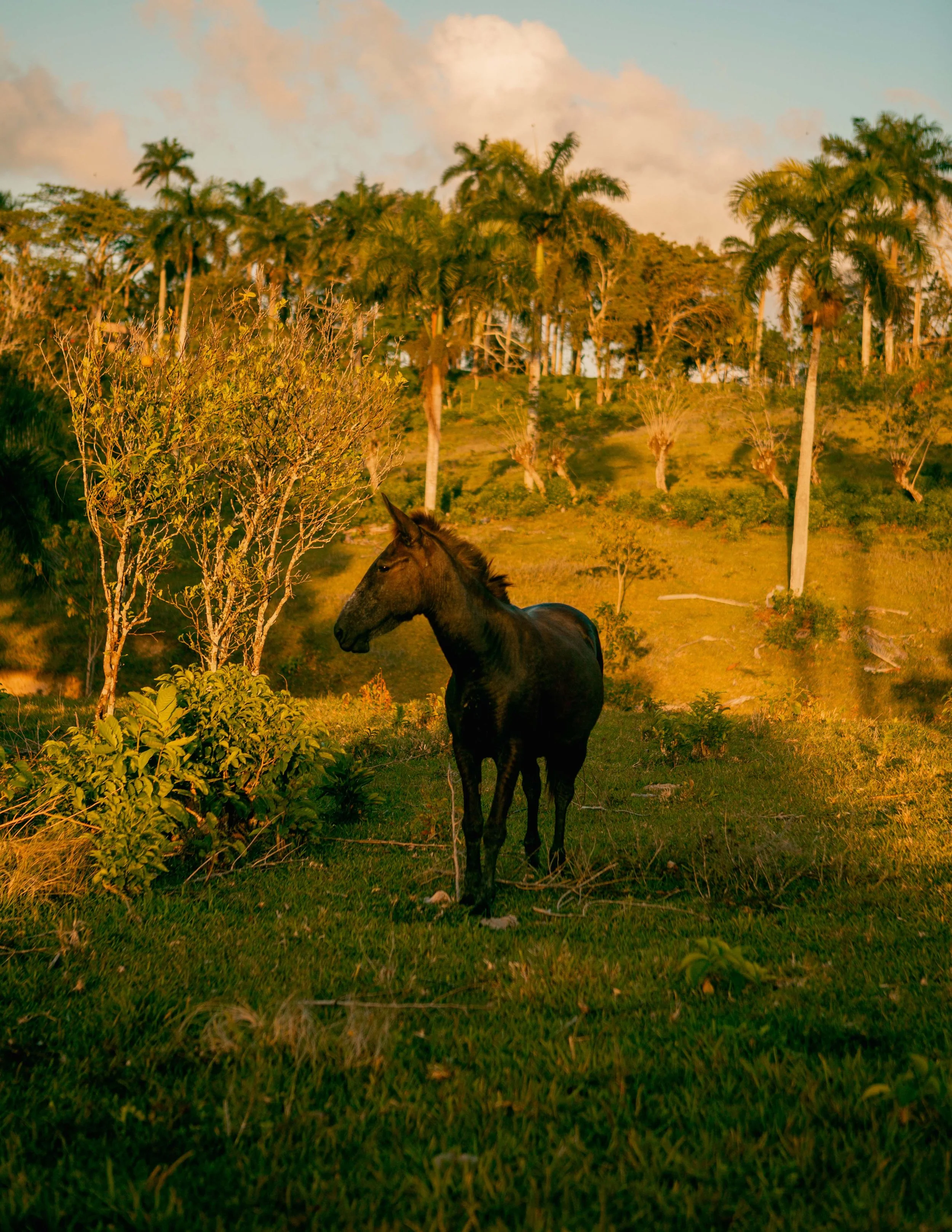 Jimi Herrtage - People & Places 045.jpg