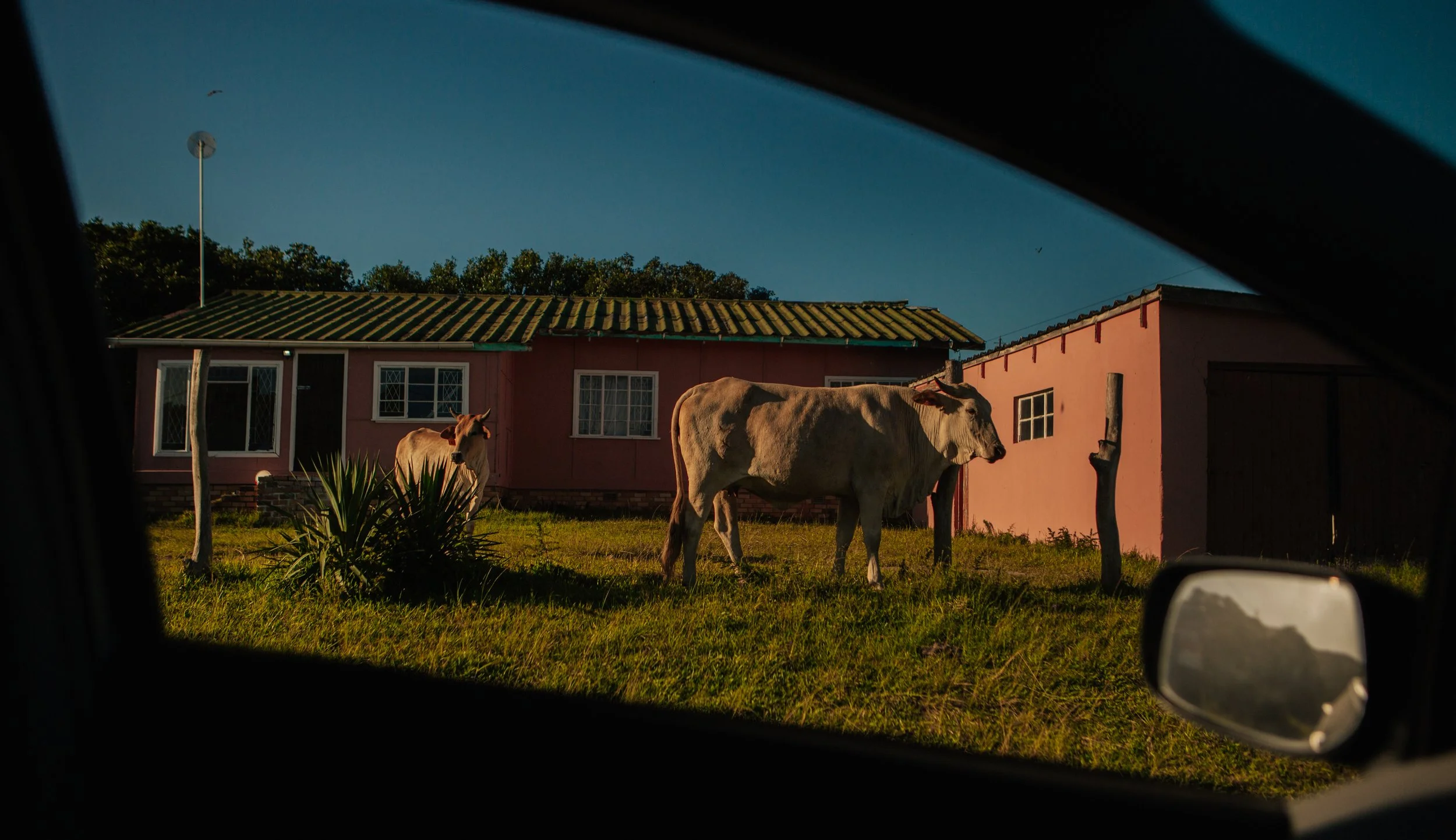 South Africa Book Cover-pg117-118.jpg