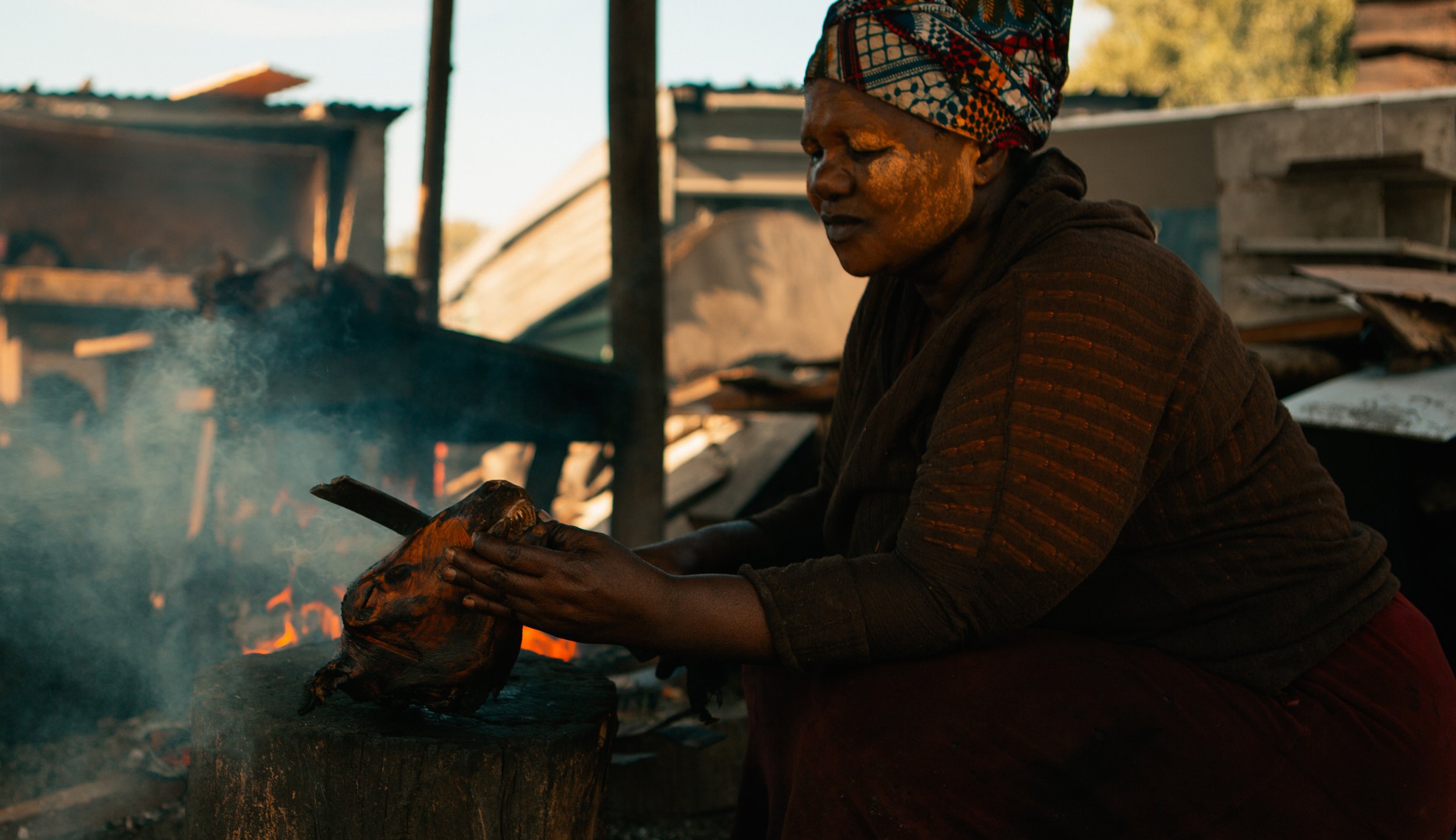 South Africa Book Cover-pg117-118 2.jpg