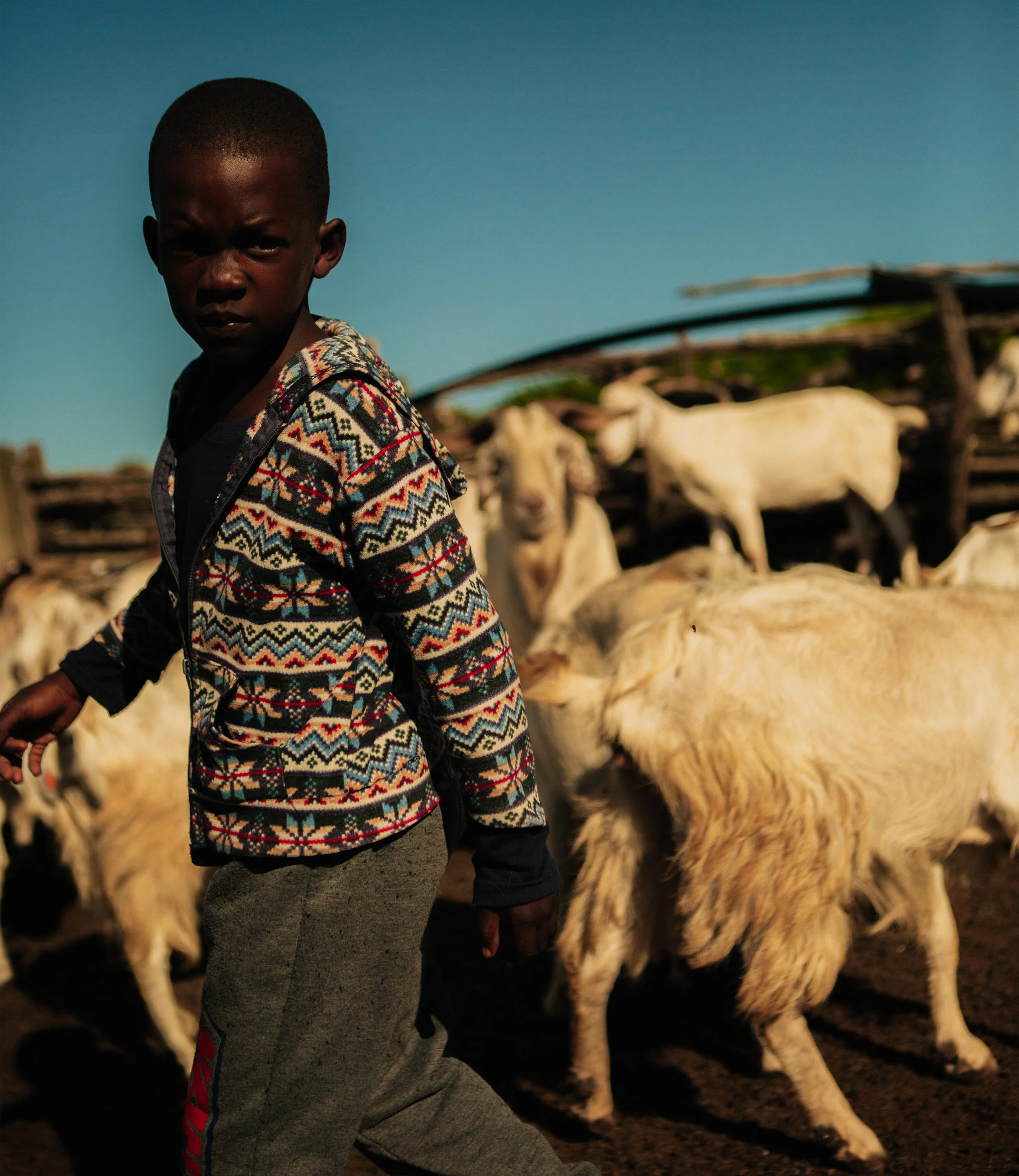 South Africa Book Cover-pg112.jpg