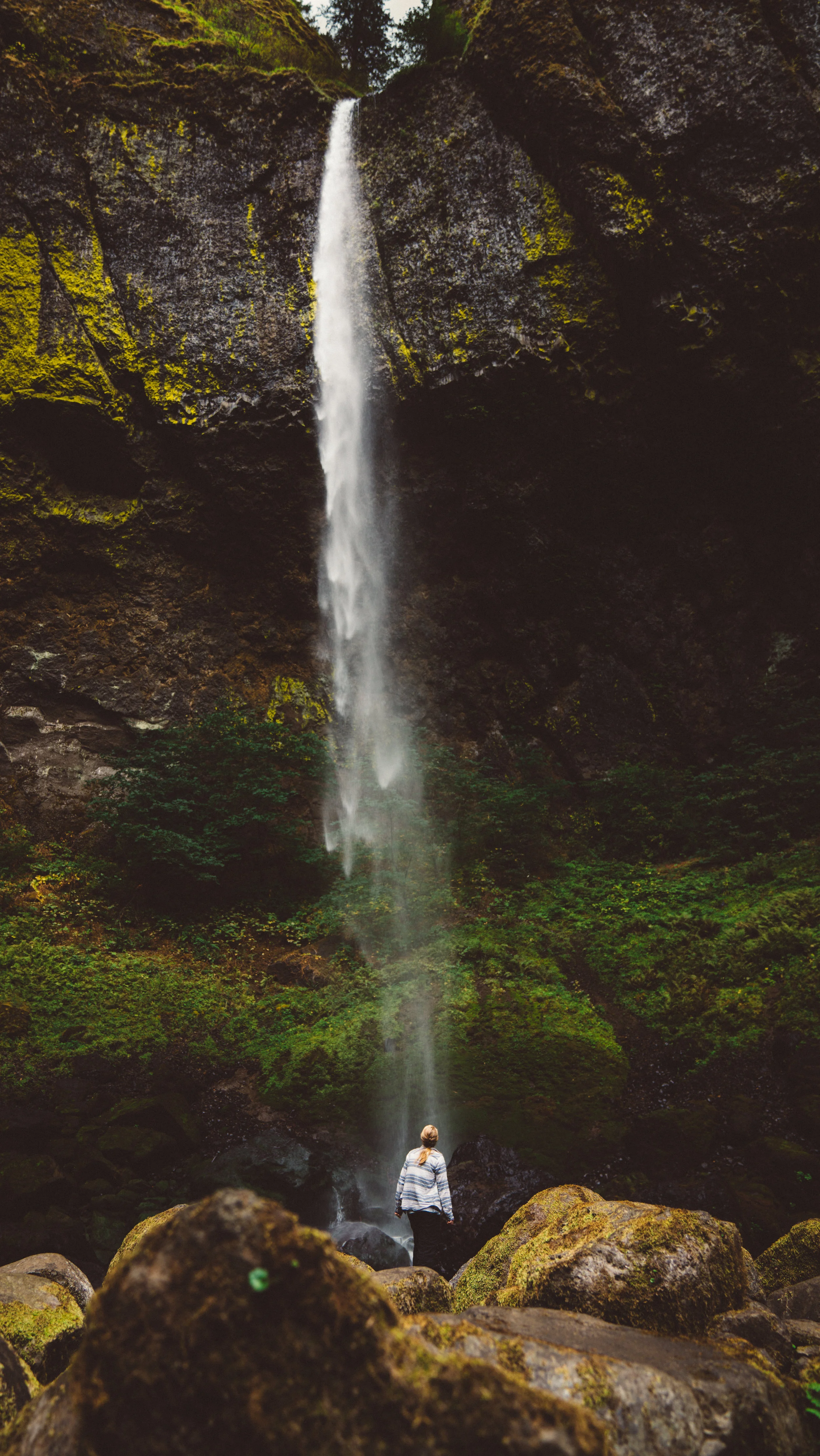 Elowah Falls, on the way to Munra Point.