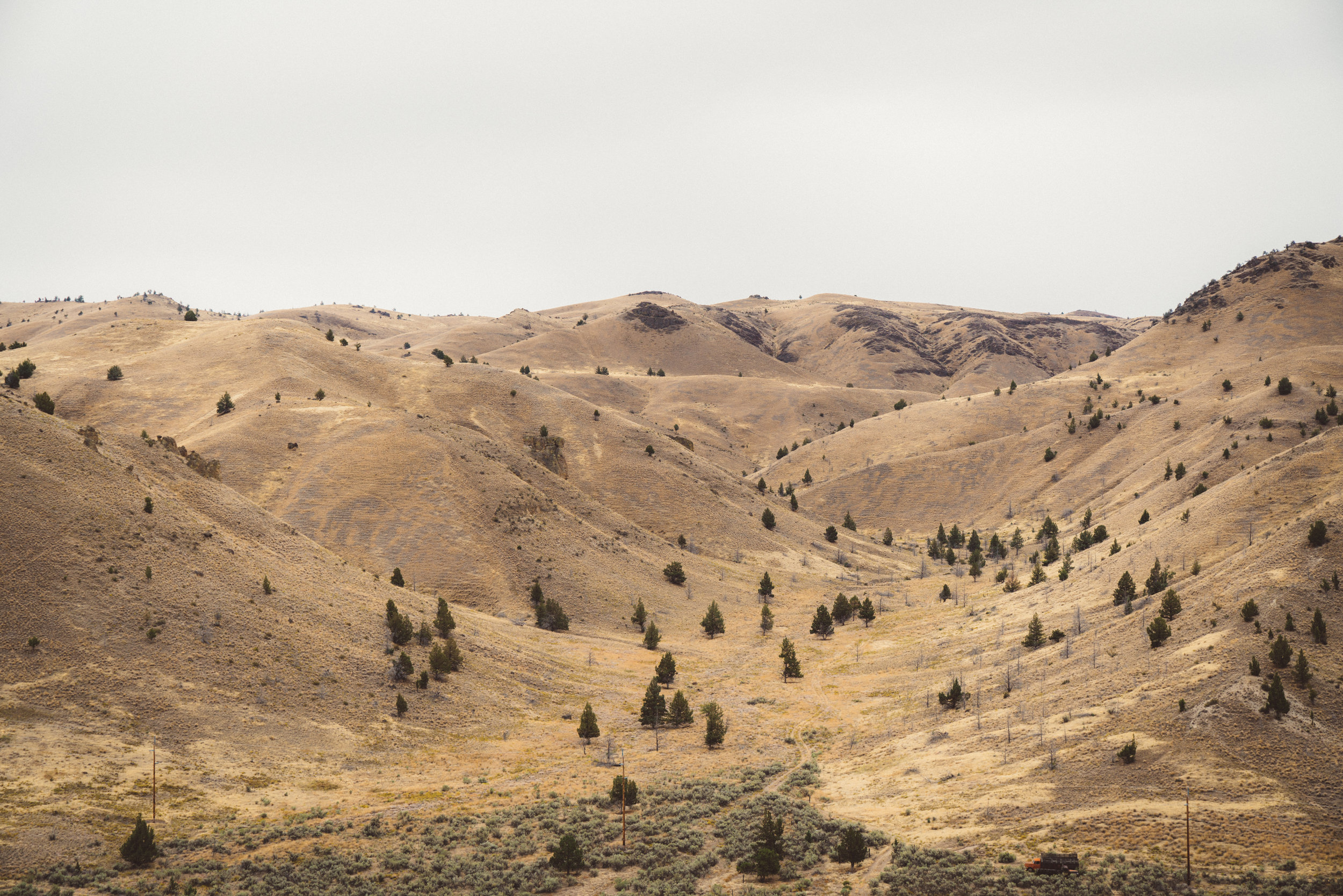 The hills behind the above abandoned ranch.