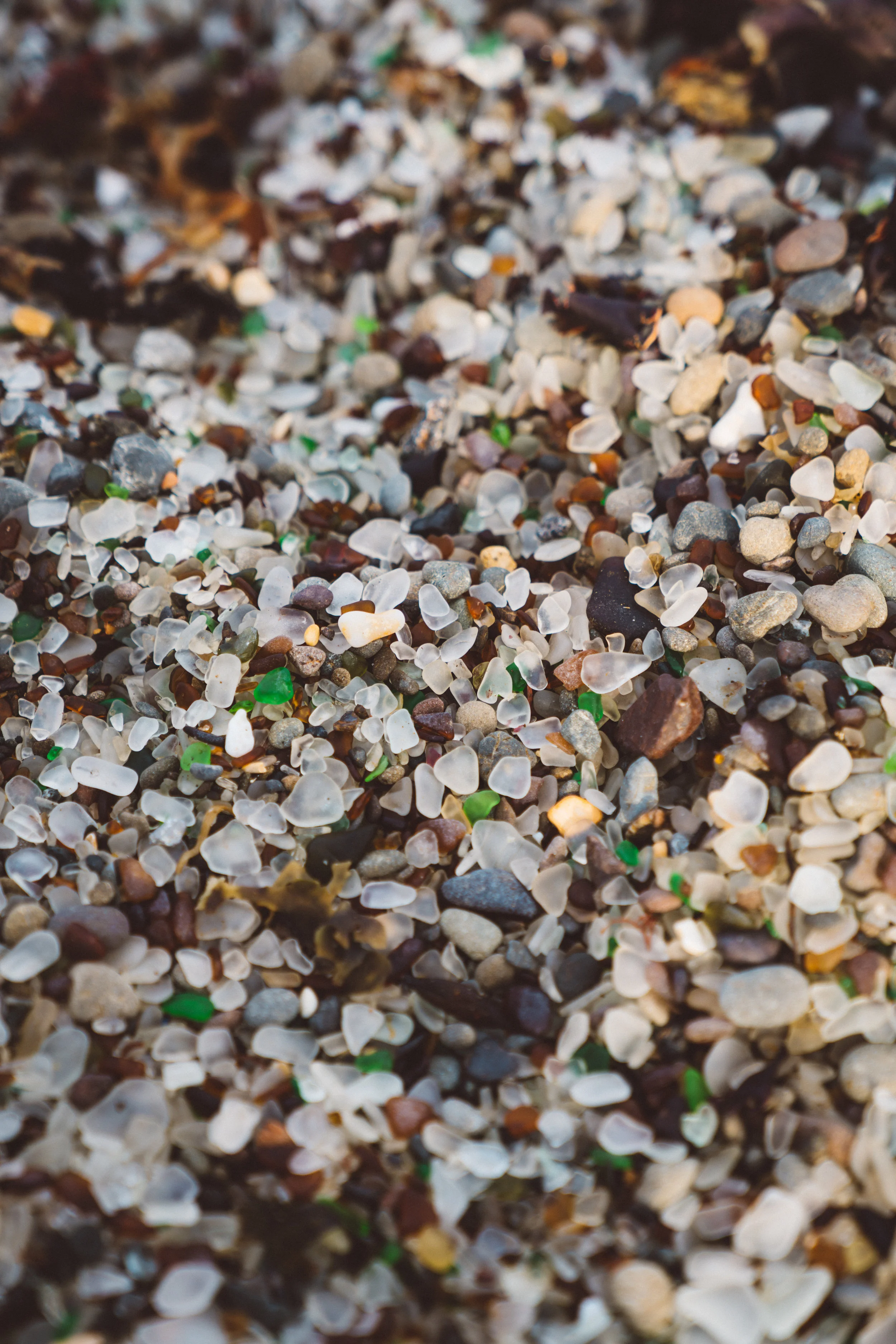 Seriously, the entire beach, albeit small beach, looks like this.