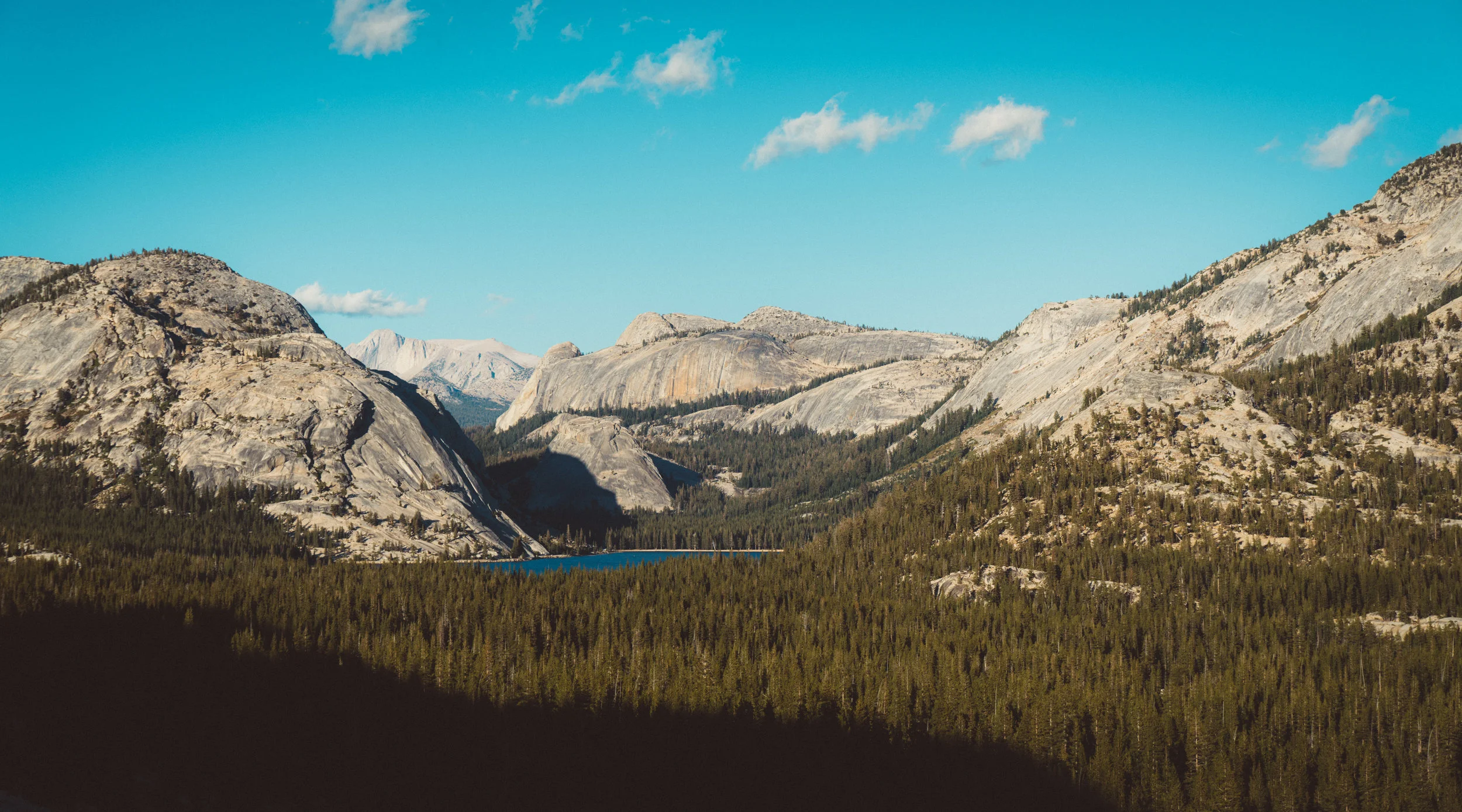 The last photo from Yosemite. This is at quite a high elevation, far from the valley, exiting the park. I believe somewhere around 8000-9000ft.