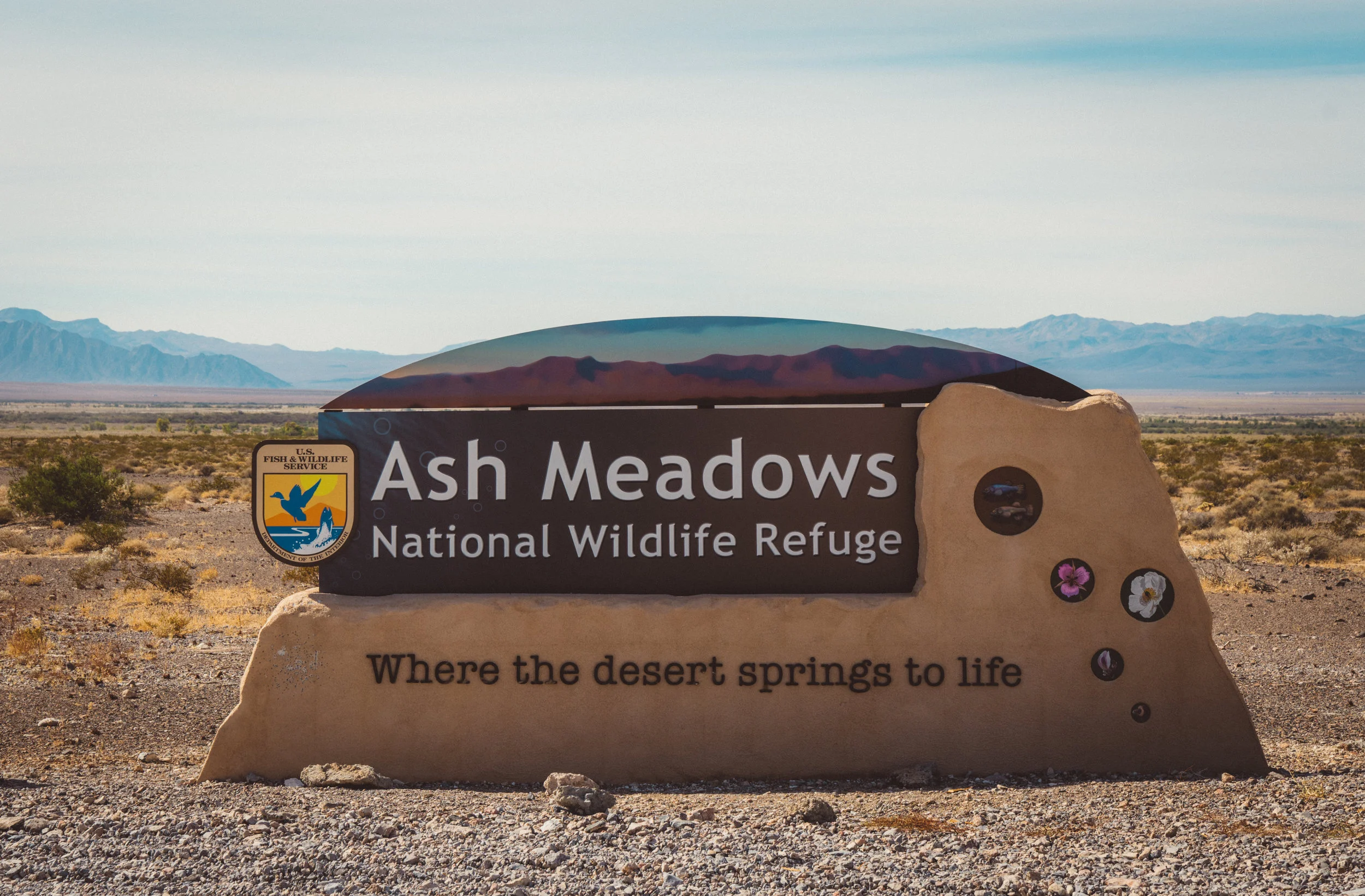 We really knew nothing about this place before coming here, other than they had the endangered pupfish. It was an incredibly nice surprise and I can't recommend this place enough. If you're going to Death Valley, you can't miss this place given its close proximity.