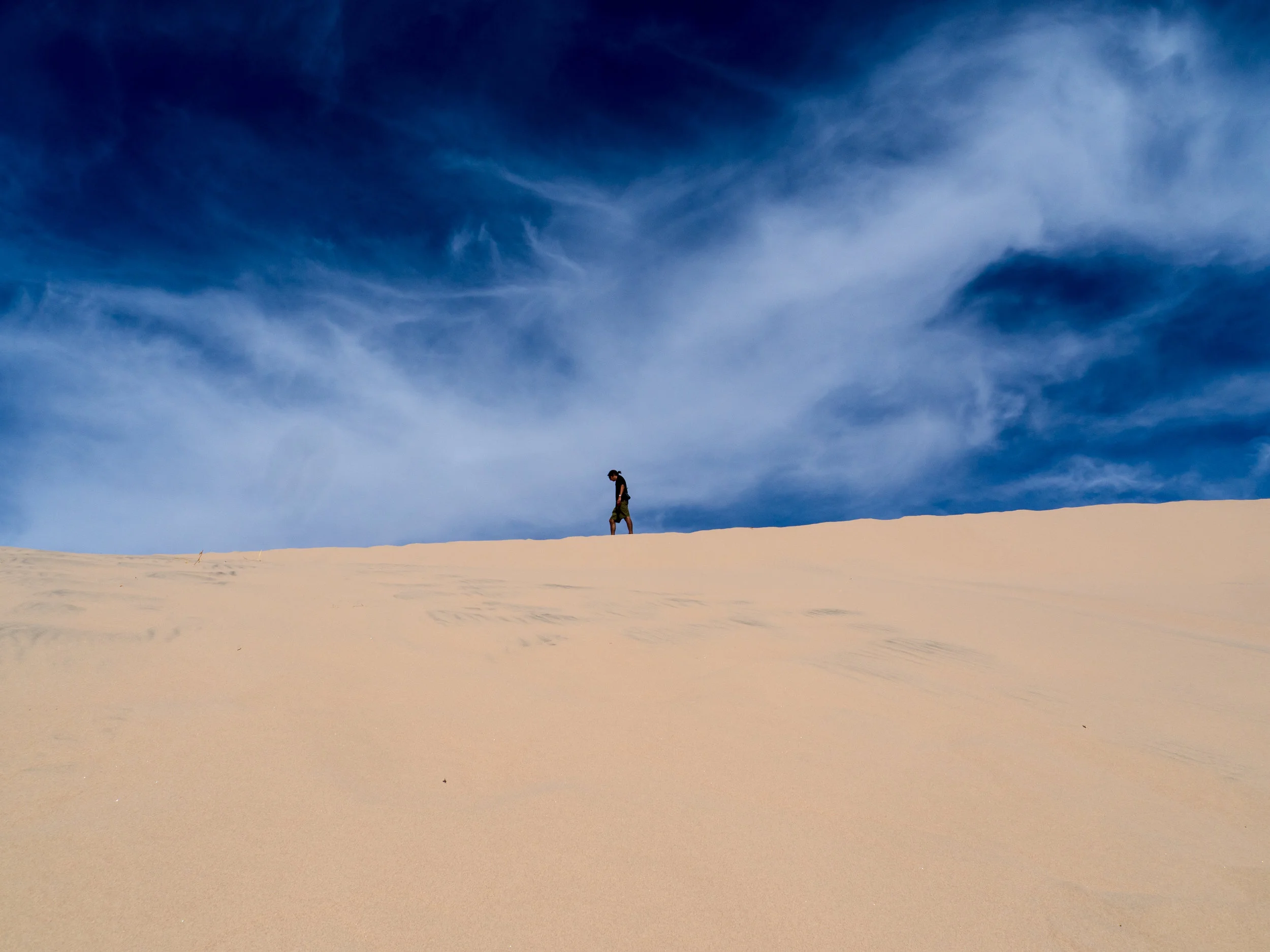 Me atop the tall Kelso Dune. Photo Credit: Danielle Seeliger .