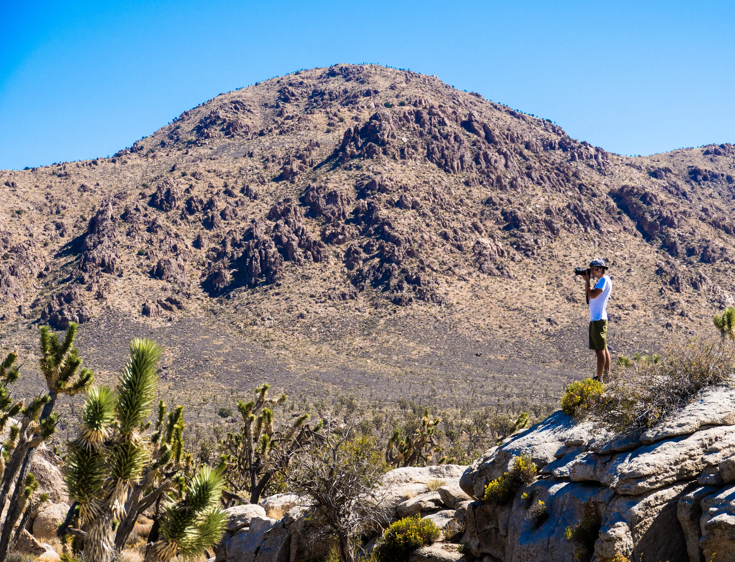 Me taking photos of the Joshua Tree Forest. Photo Credit: Danielle Seeliger .