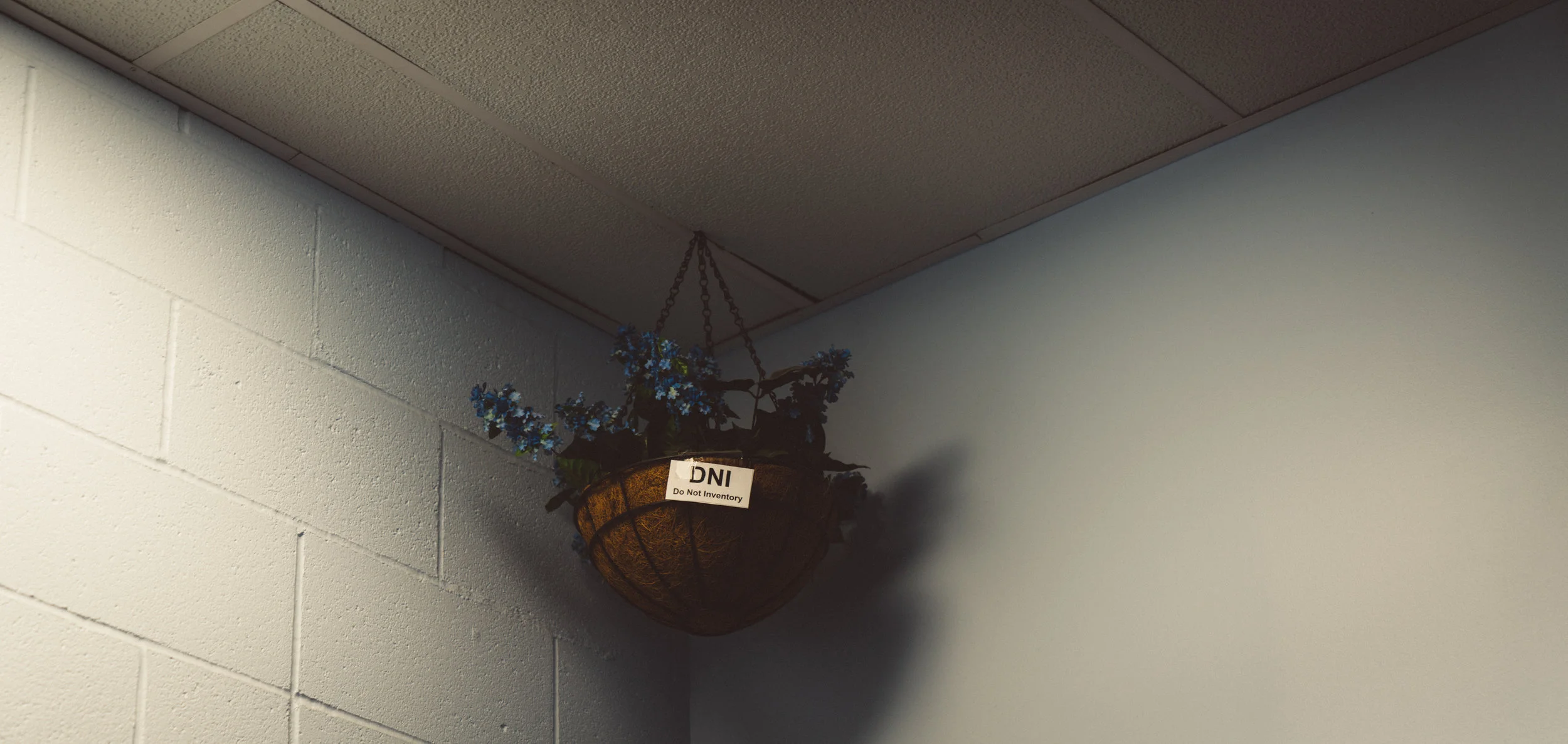 Walmart Automotive Department waiting room aesthetic.