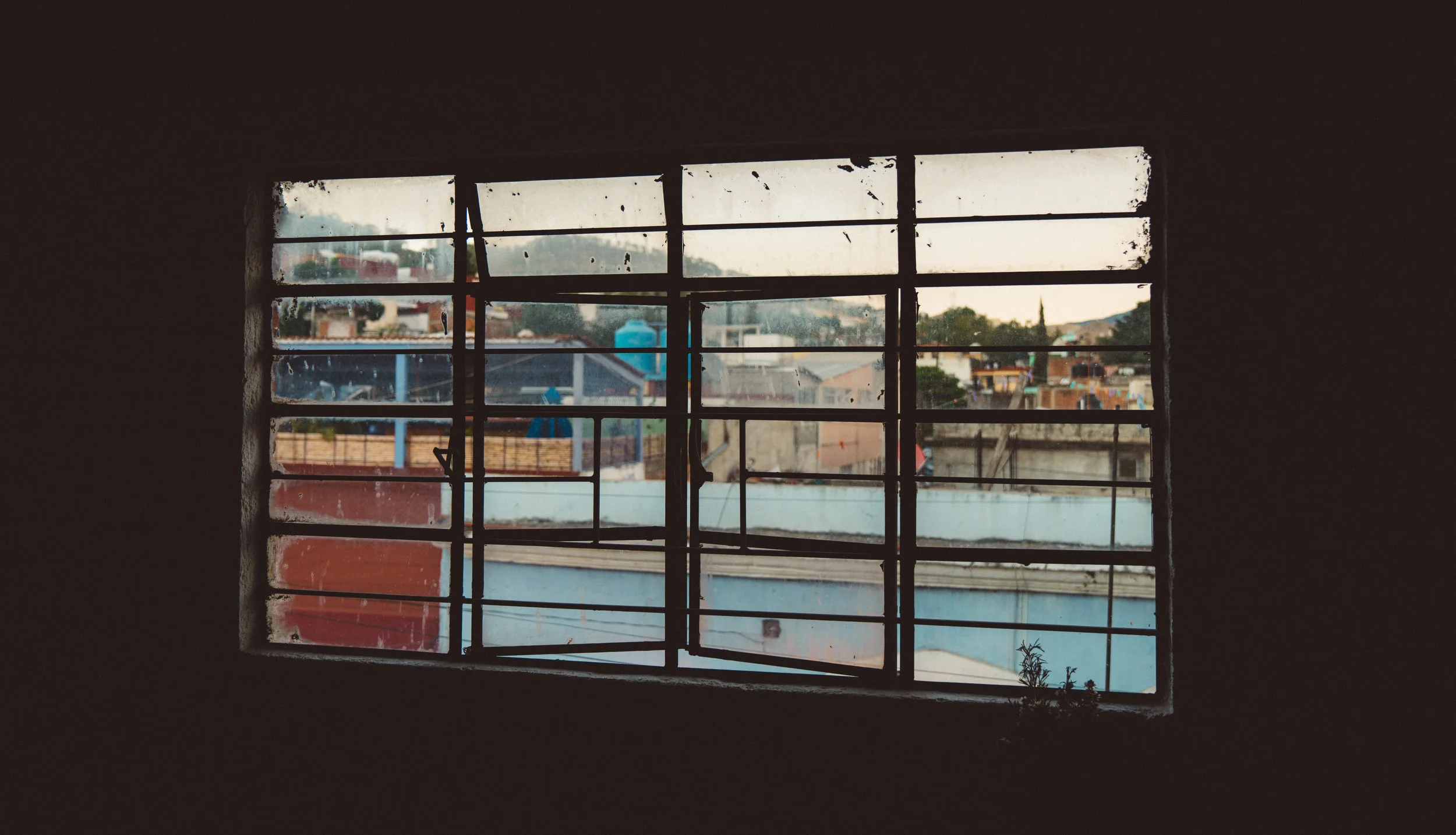 Out the window of the kitchen.