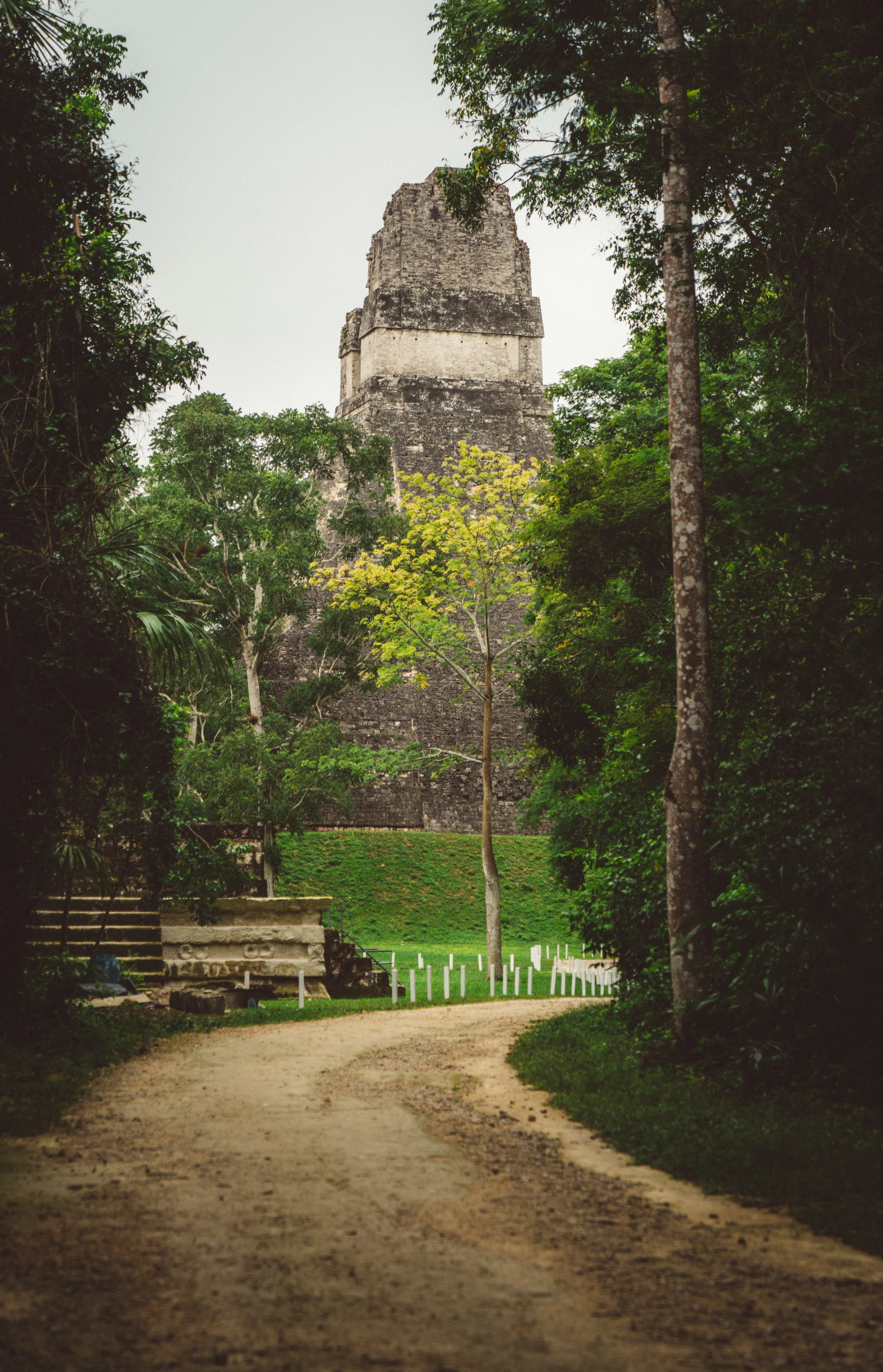 The Ruins of Tikal.