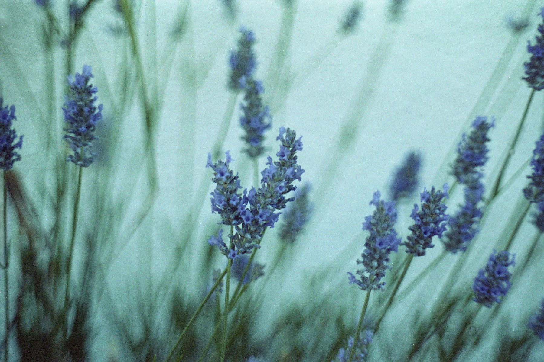 Image009.jpg