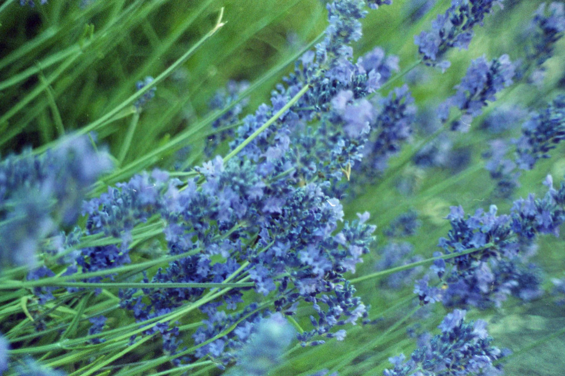 Image015.jpg