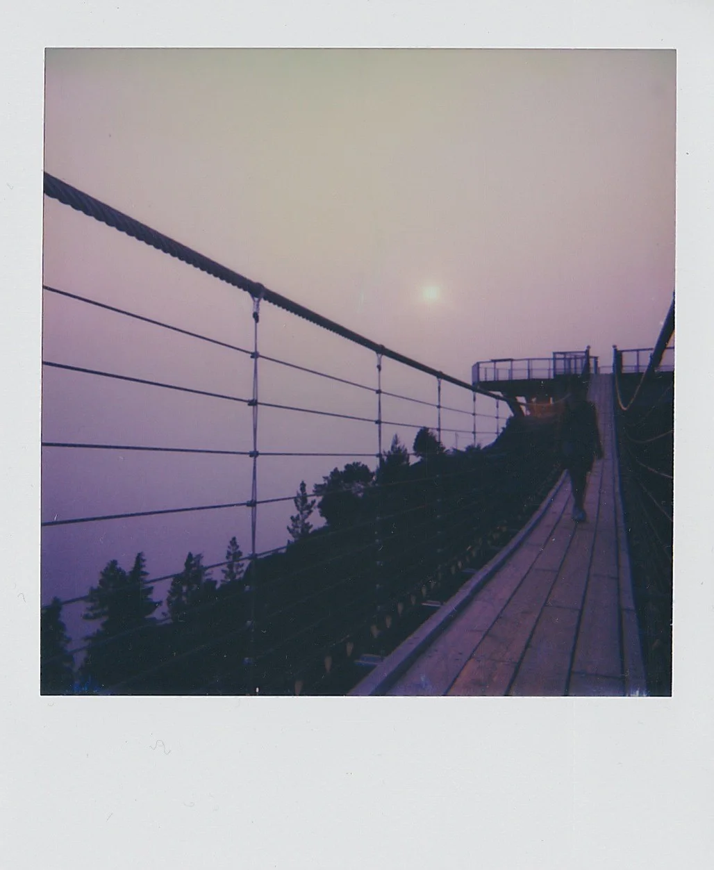 And a couple Polaroids.