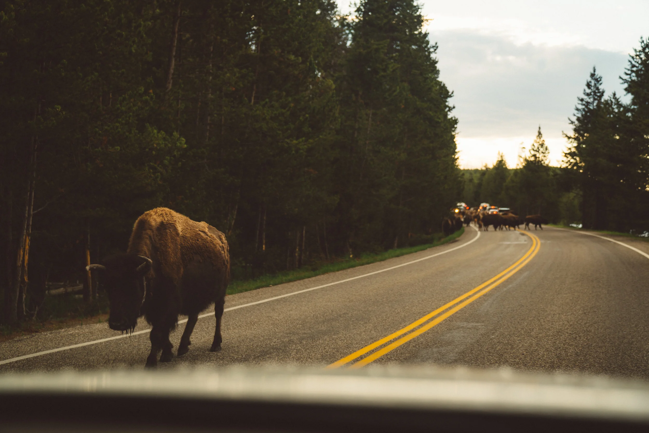 The traffic jam begins.