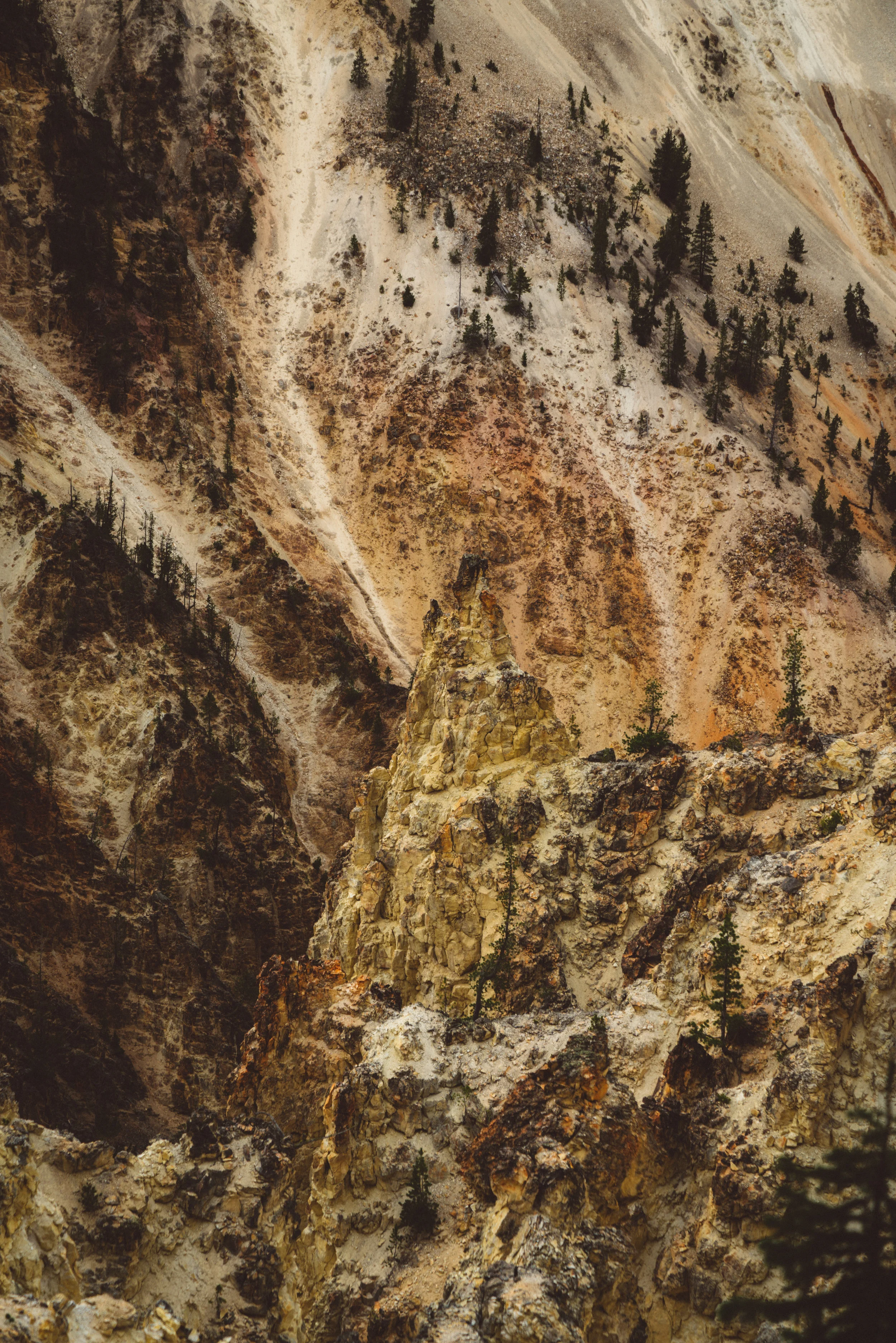 Grand Canyon of the Yellowstone.