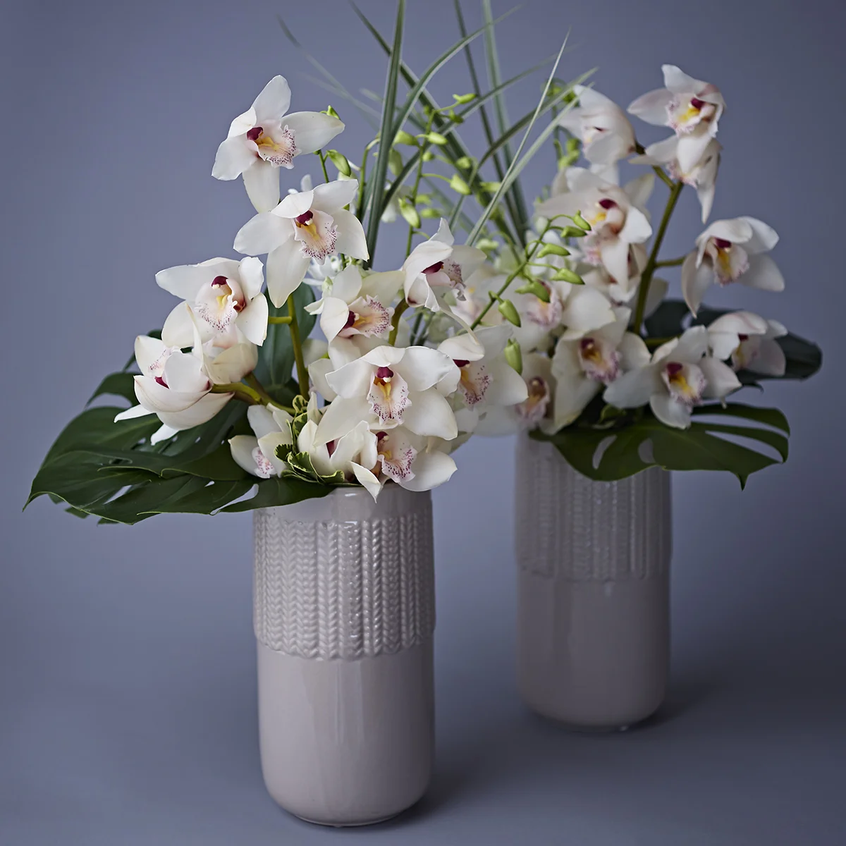 Cool Tropicals | Display arrangements featuring cymbidium & dendrobium orchids
