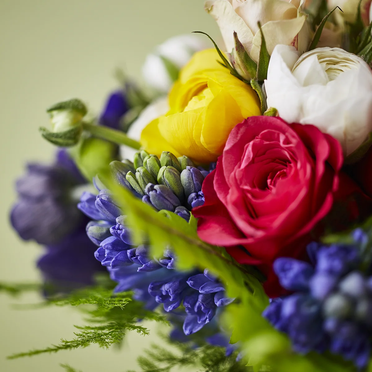 Spring Brights | Detail of ranunculus & hyacinth