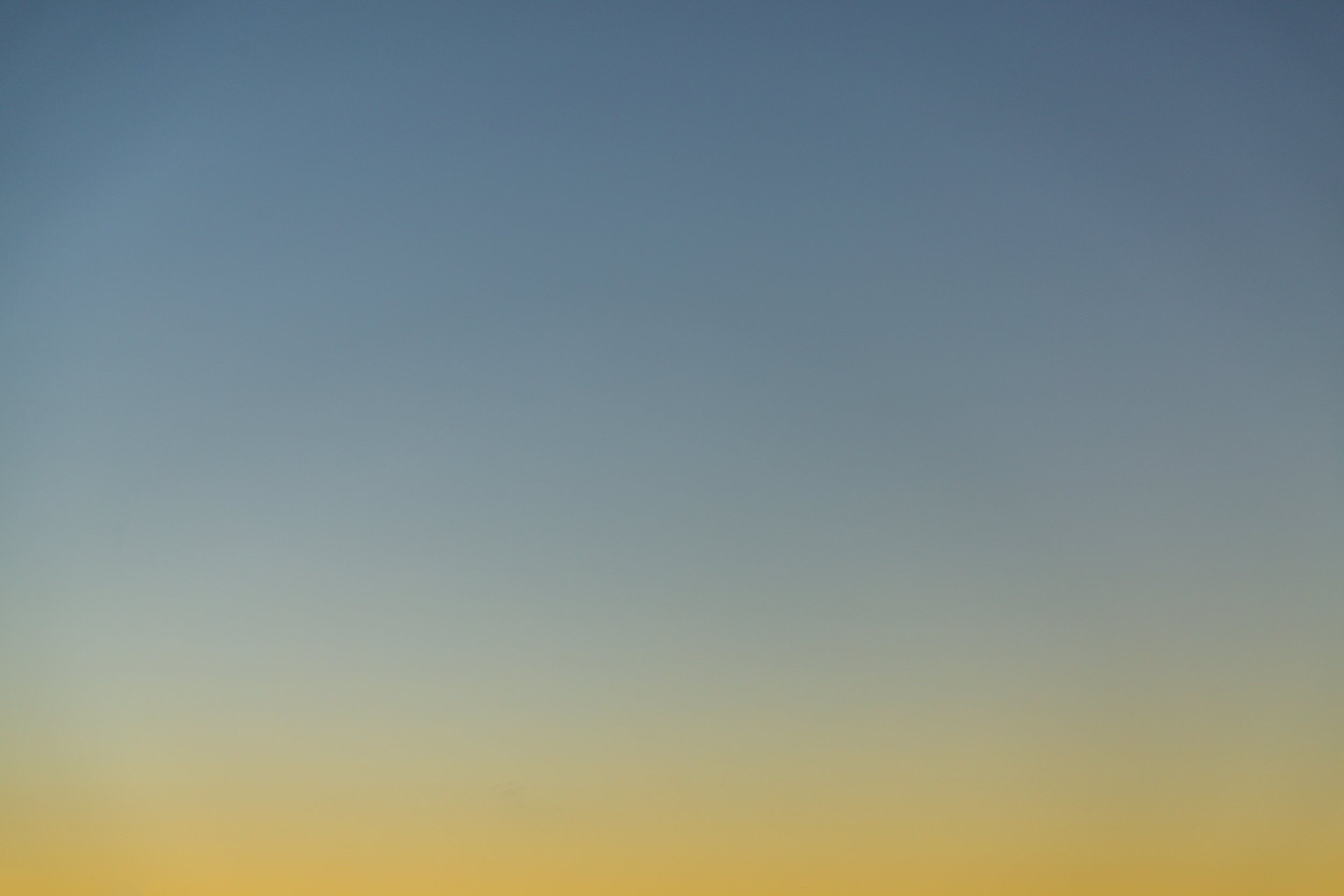 cesar-couto-420990-unsplash.jpg
