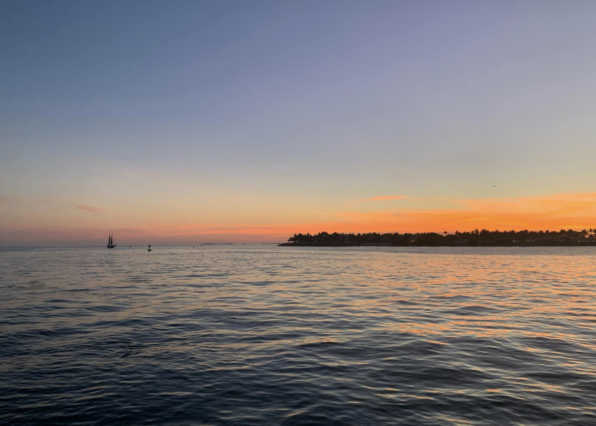 Screen Shot 2022-09-20 at 8.43.26 PM.png