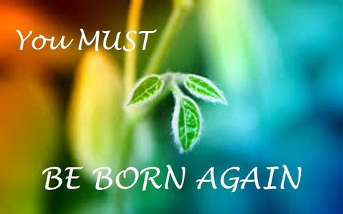 8 Signs That You Are Born Again — True View Ministries
