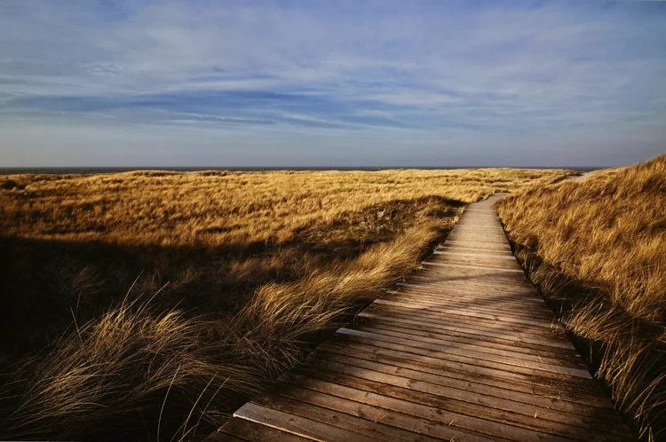 iStock_000008490828Medium.jpg