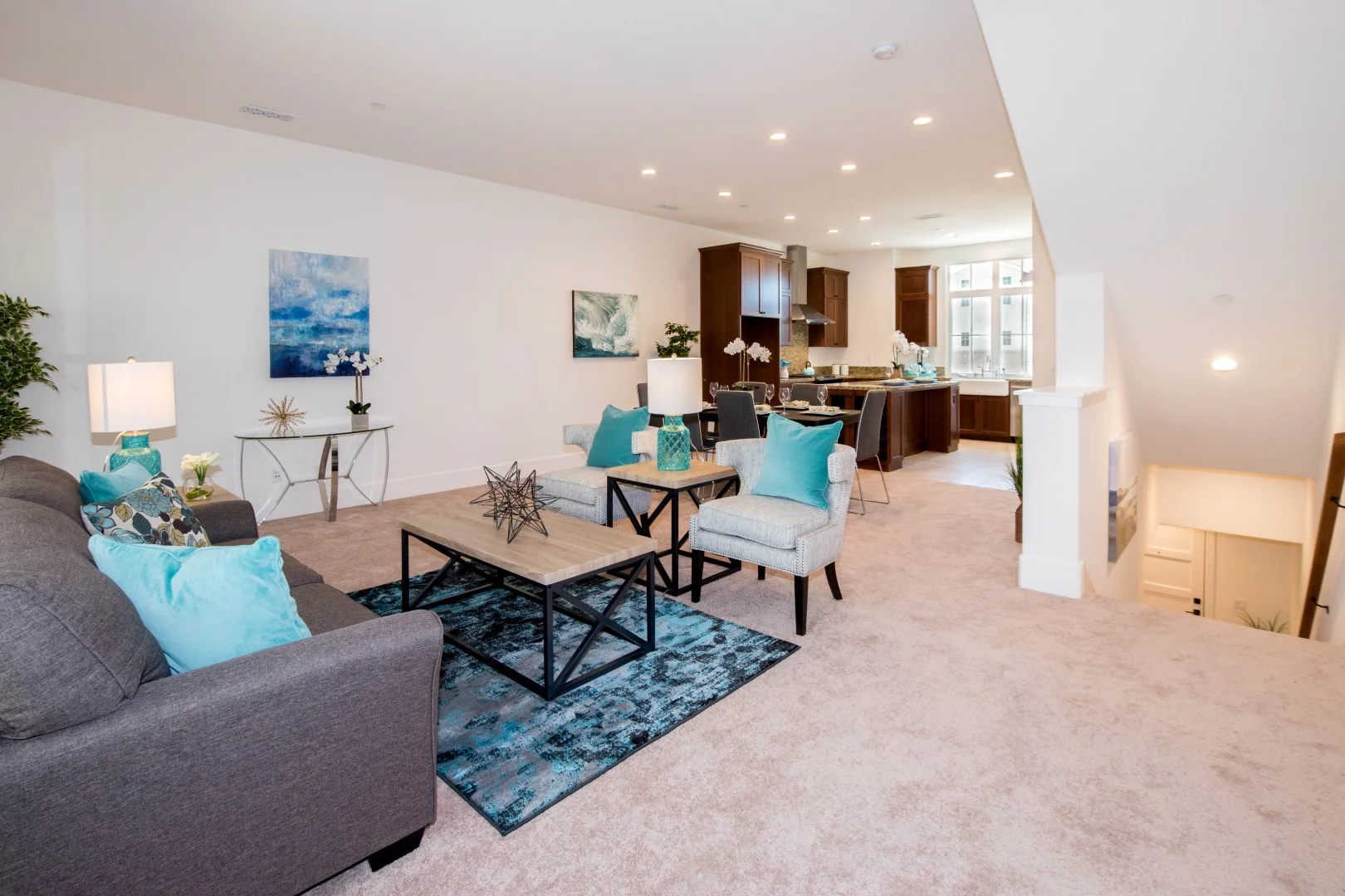Large Living Room and Kitchen