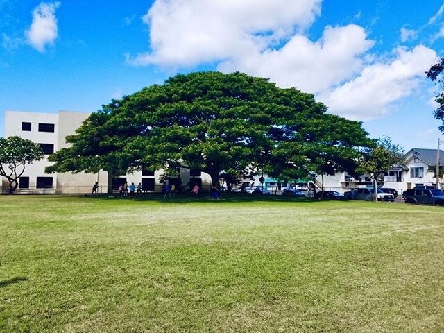 achy and stiff?  See you this weekend for Saturday Strong30 &amp; Zumba &amp; Sunday Yoga: Saturday @5p Strong30 HIT, 5:30 Zumba Makiki Park.  Sunday 5p Yoga Mother Waldron Park.
More information @ maile@mailelabasan.com/classes