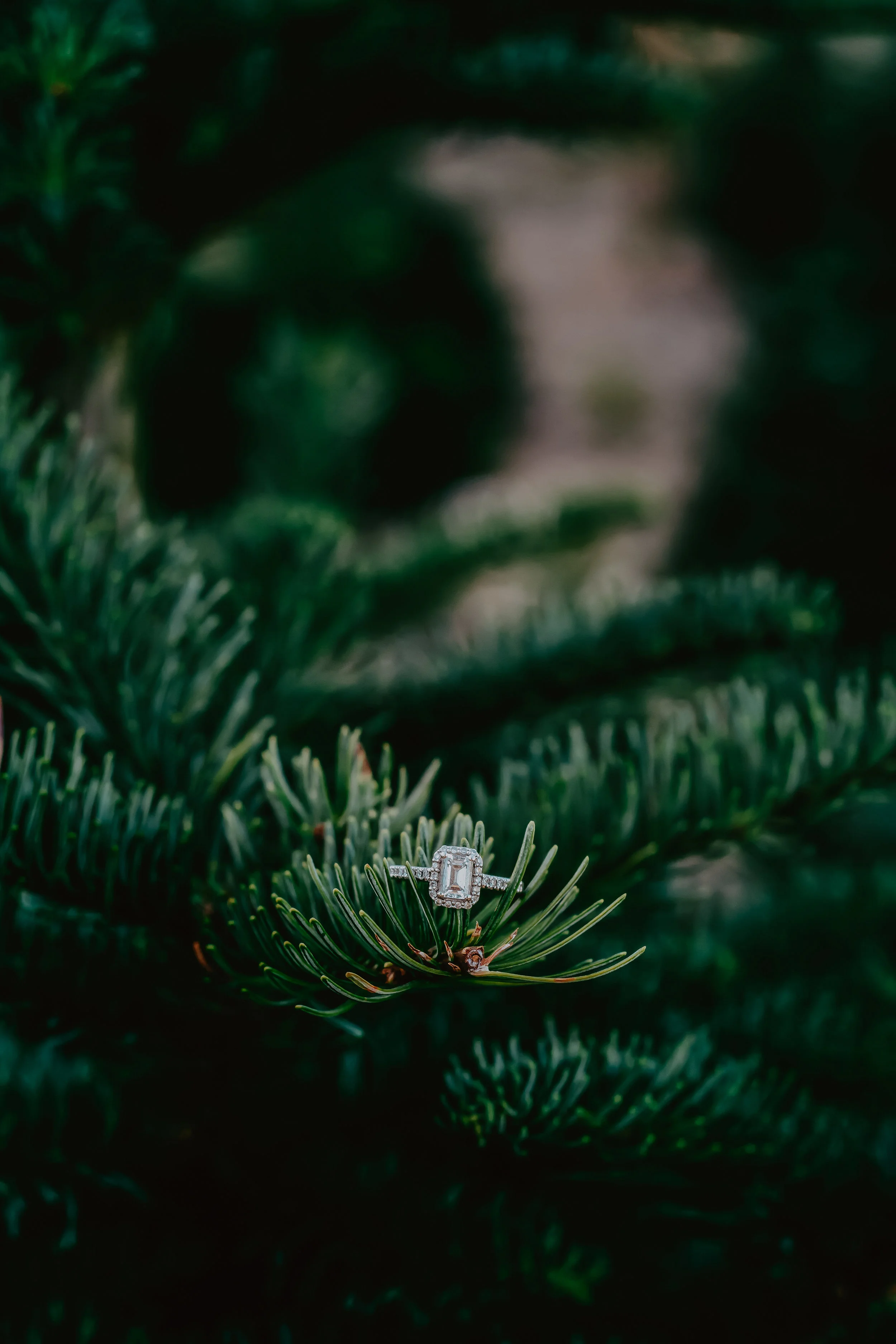 shootandshare.jahnilynnphotography.2016-1-67.jpg