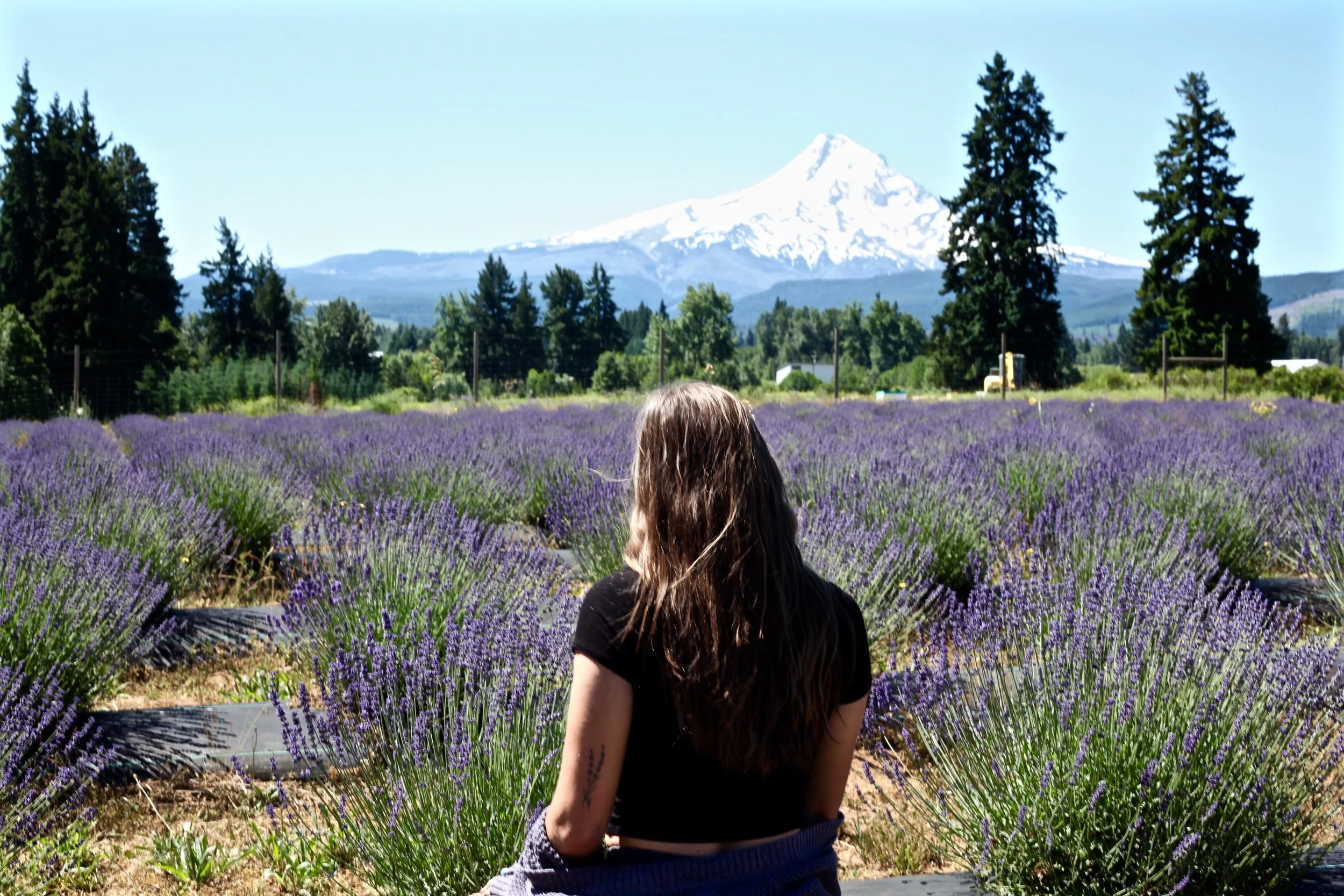 Lavender Valley, Oregon 