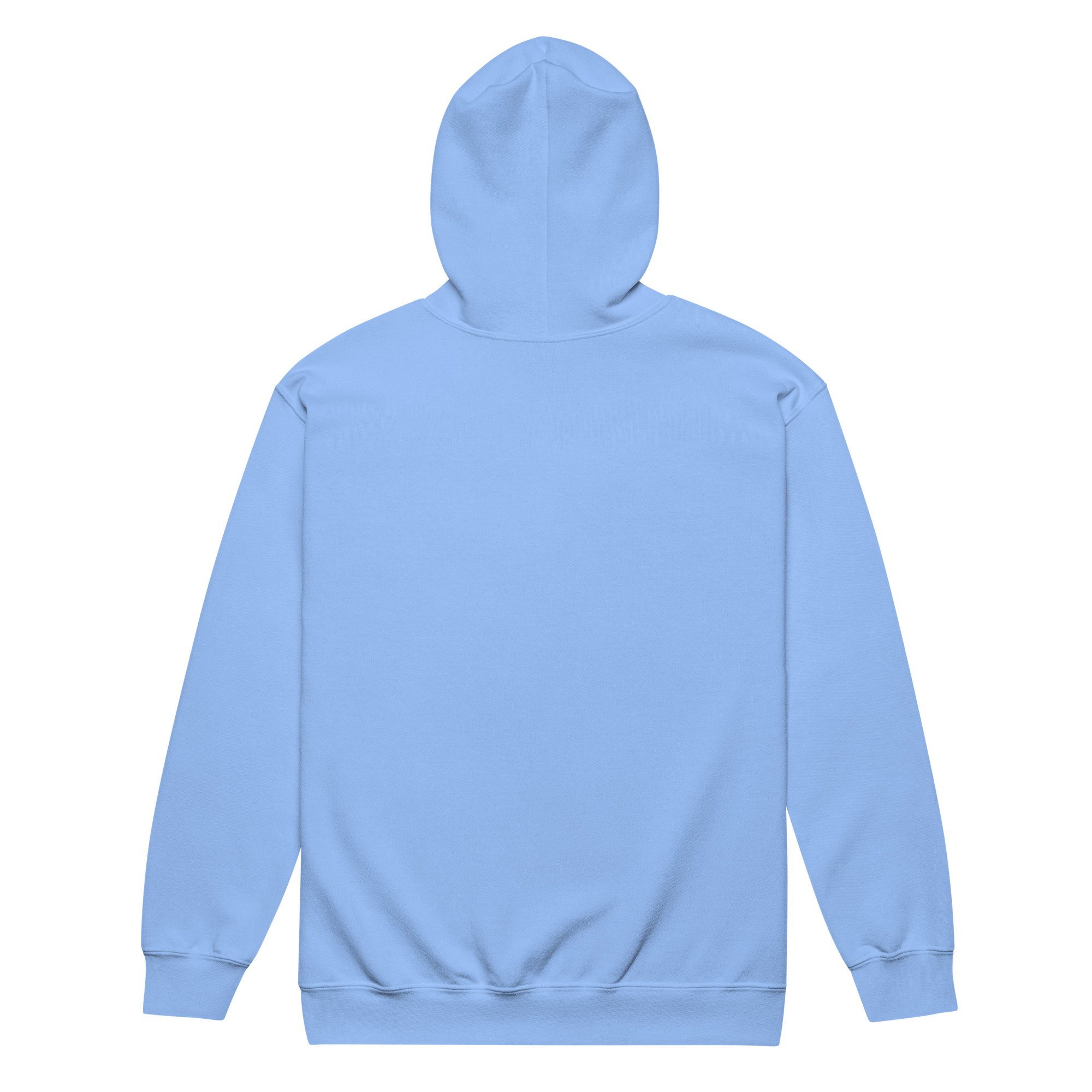 unisex-heavy-blend-zip-hoodie-carolina-blue-back-69a5ab0670e5d.jpg